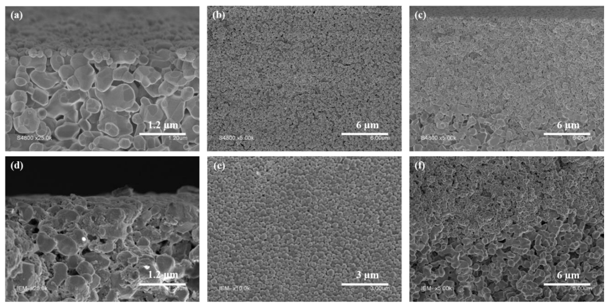 Membranes 13 00065 g001
