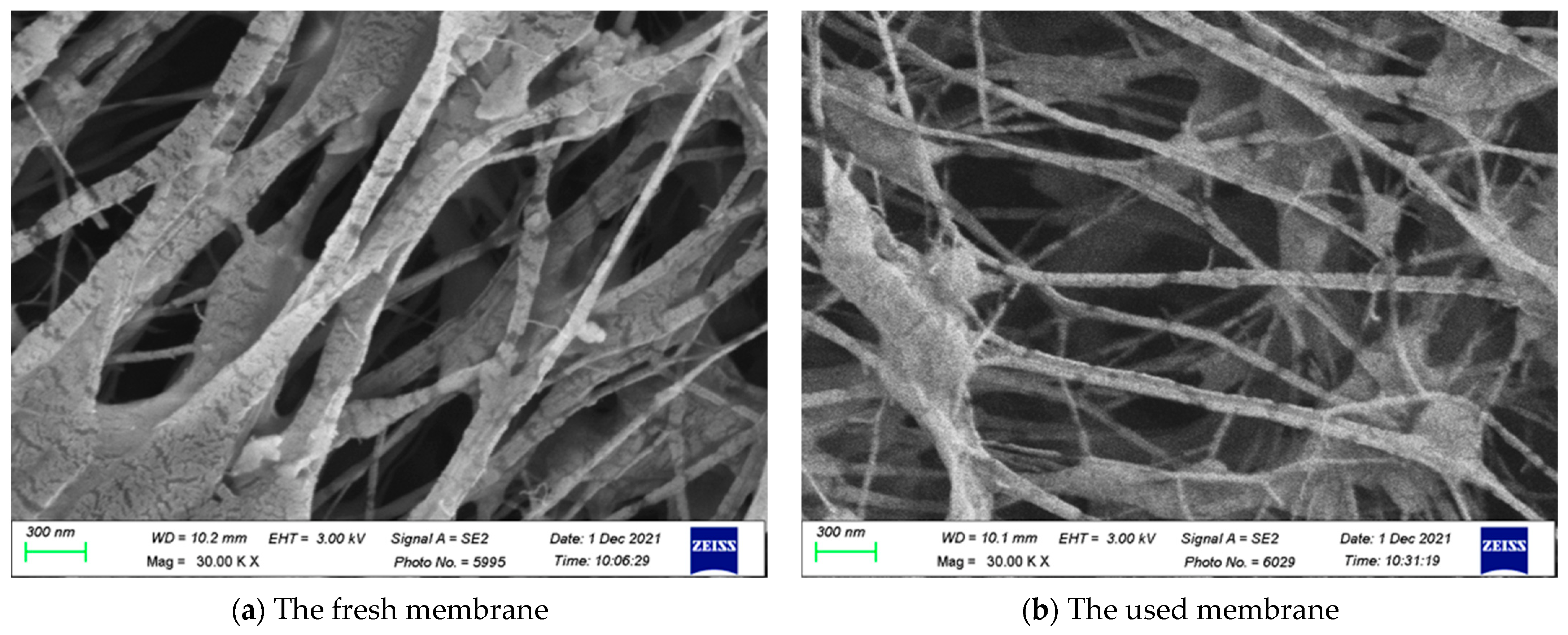 Membranes 13 00066 g012 Membranes 13 00066 g012