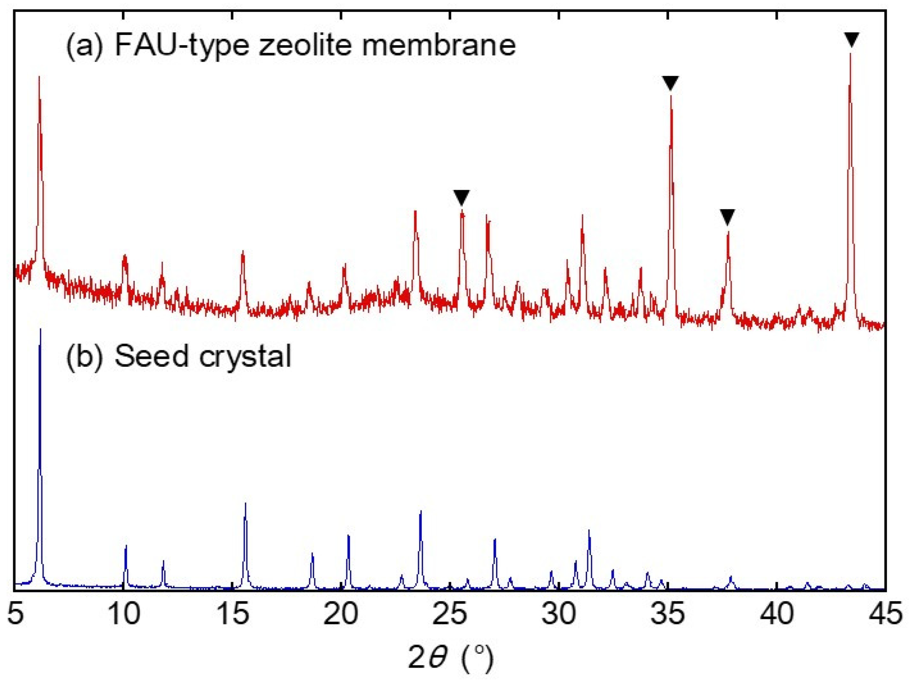 Membranes 13 00068 g002 Membranes 13 00068 g002