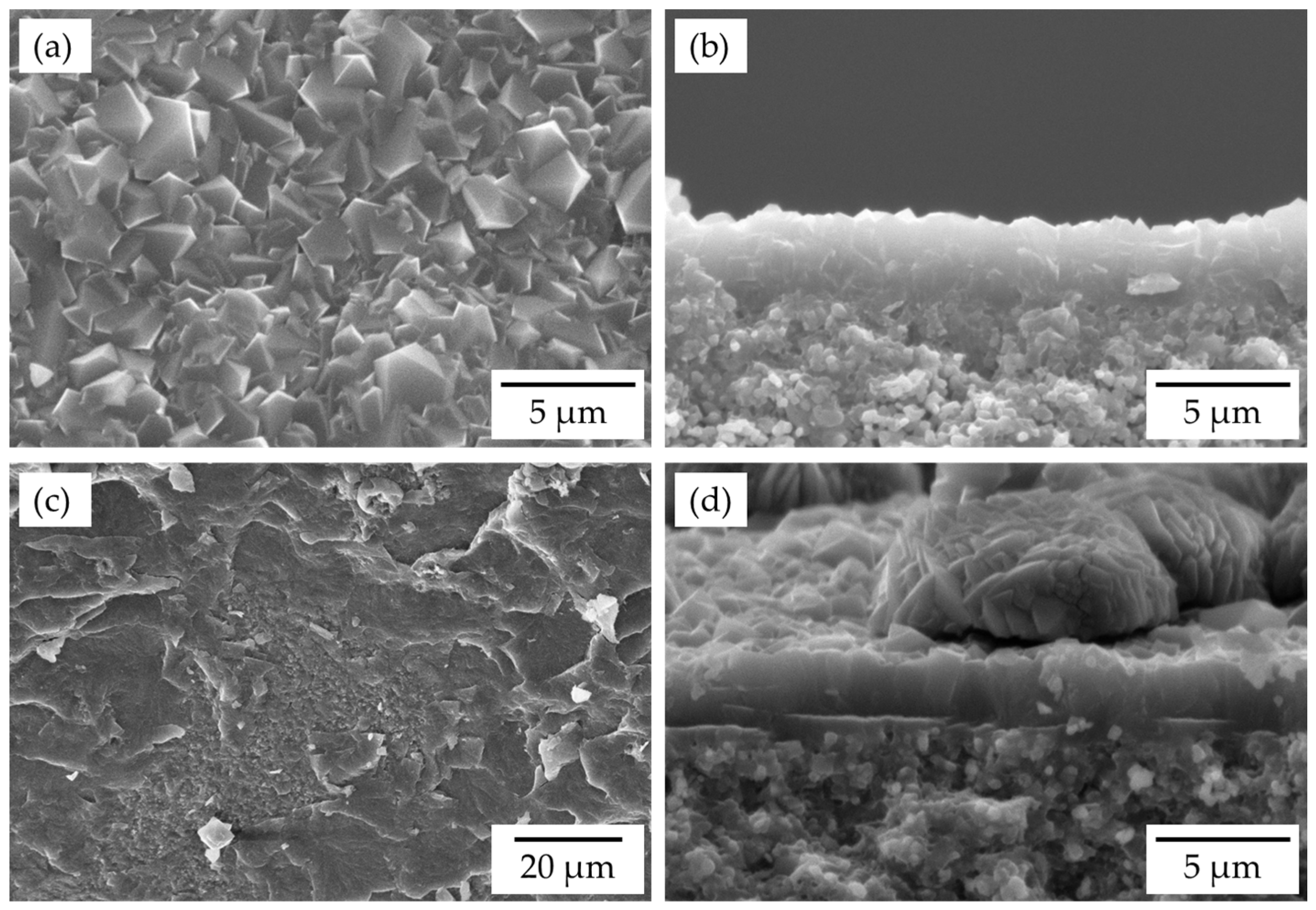 Membranes 13 00068 g007 Membranes 13 00068 g007