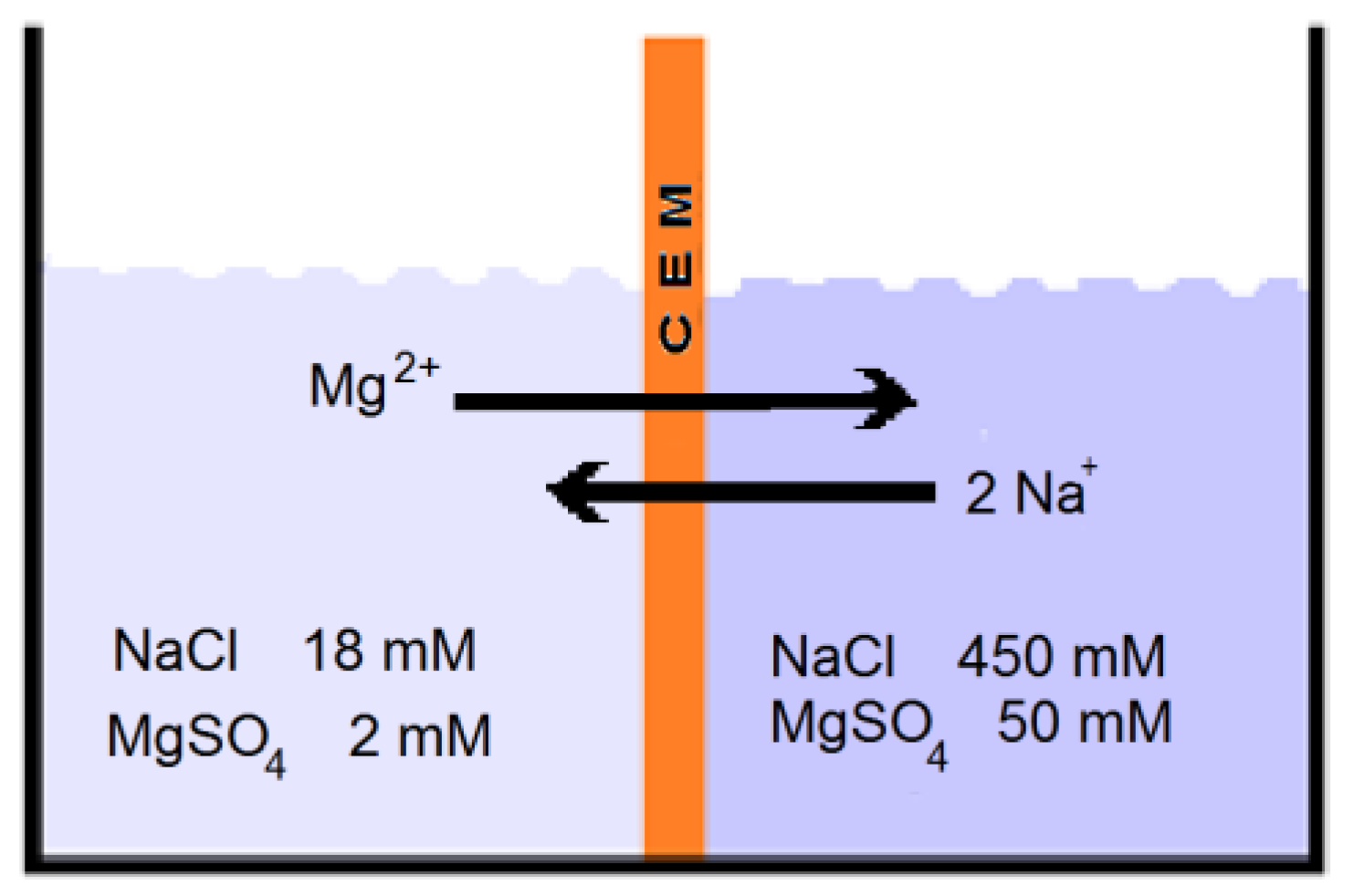Membranes 13 00069 g001 Membranes 13 00069 g001