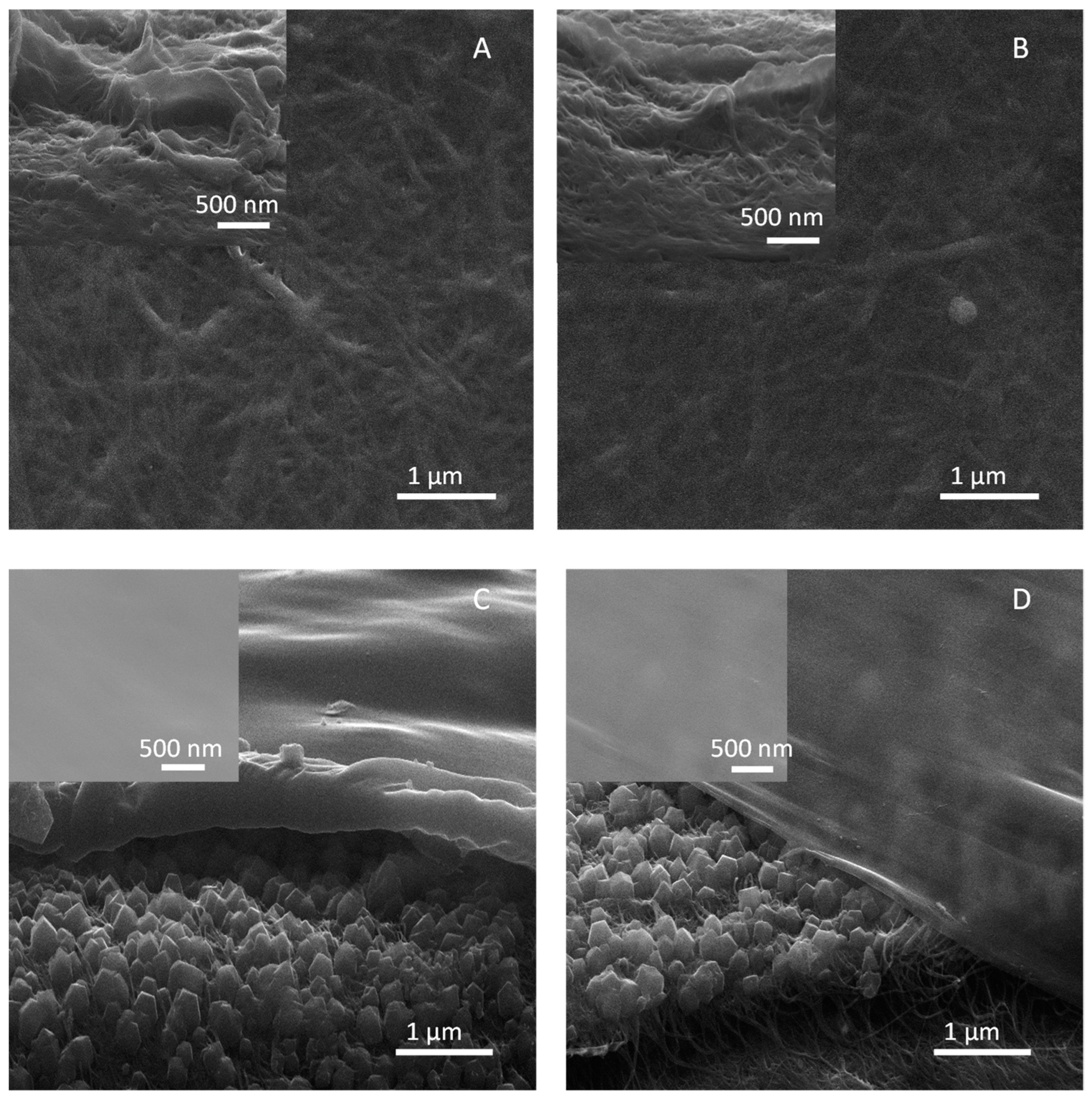 Membranes 13 00071 g002 Membranes 13 00071 g002