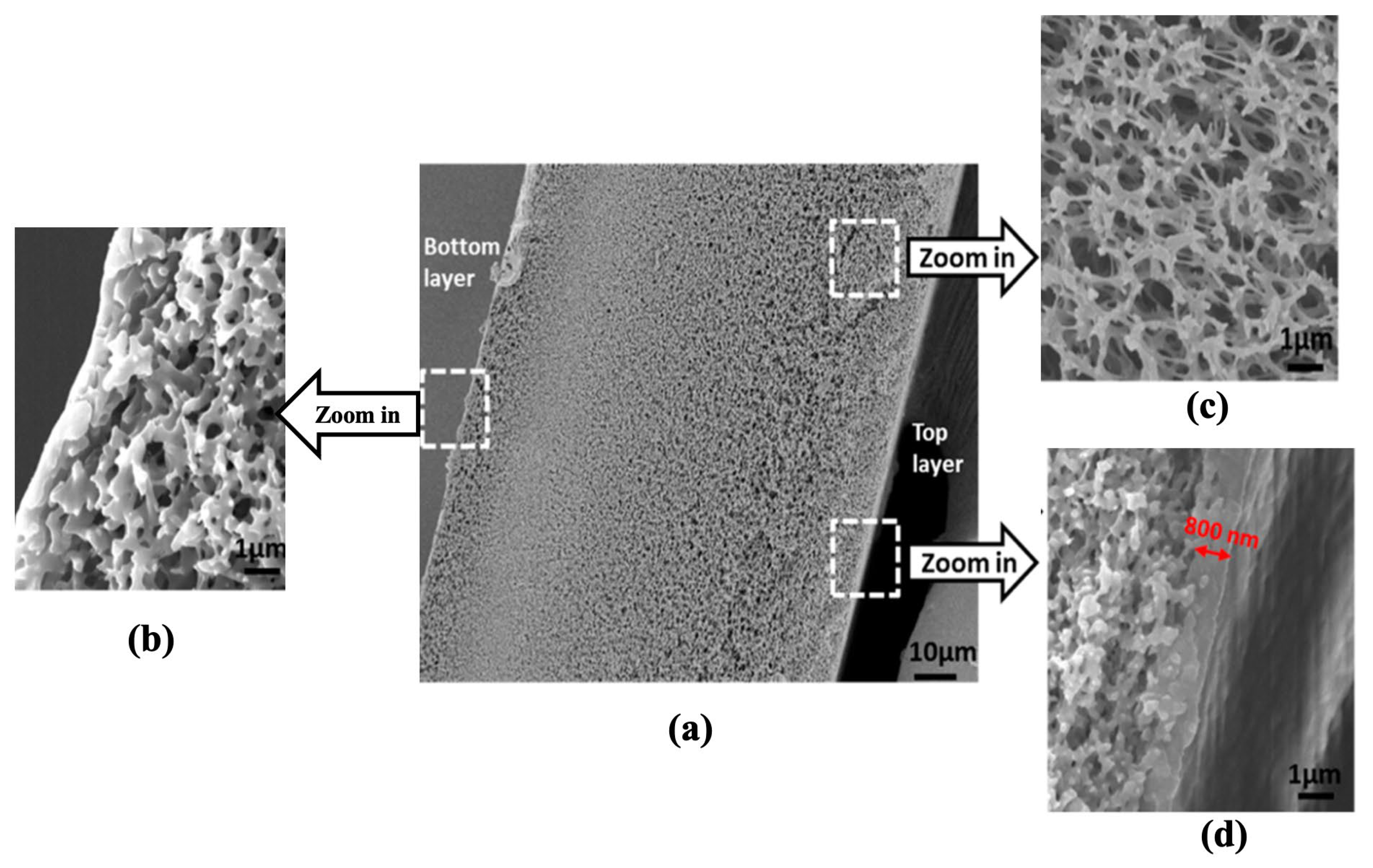 Membranes 13 00073 g014 Membranes 13 00073 g014