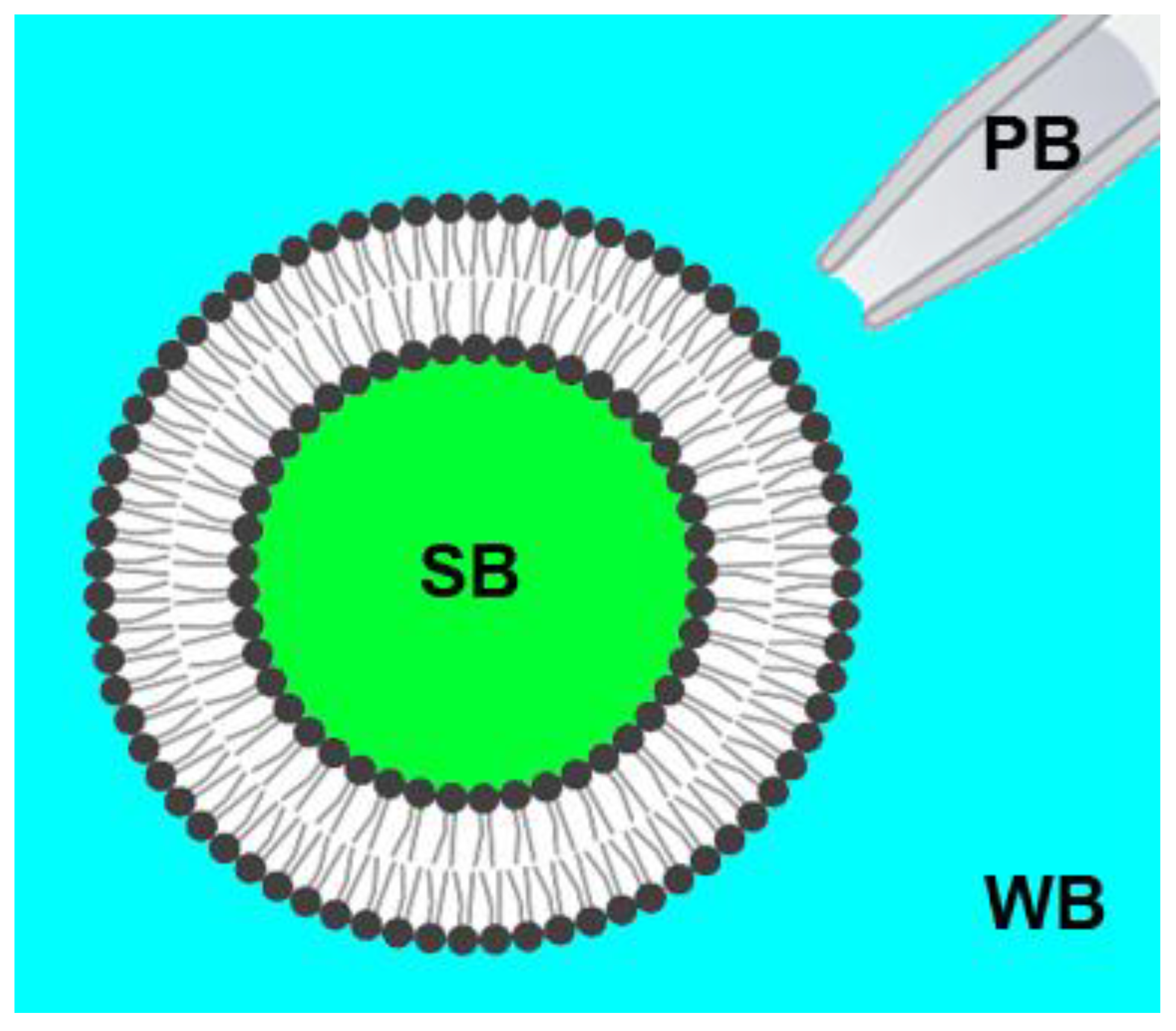 Membranes 13 00076 g001