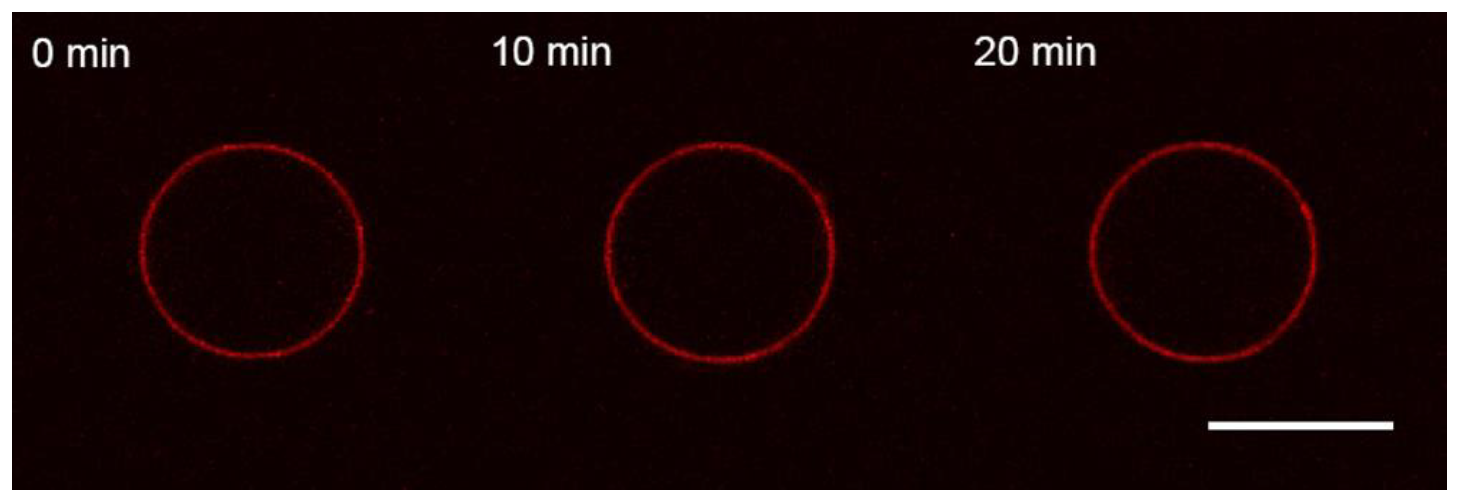 Membranes 13 00076 g002