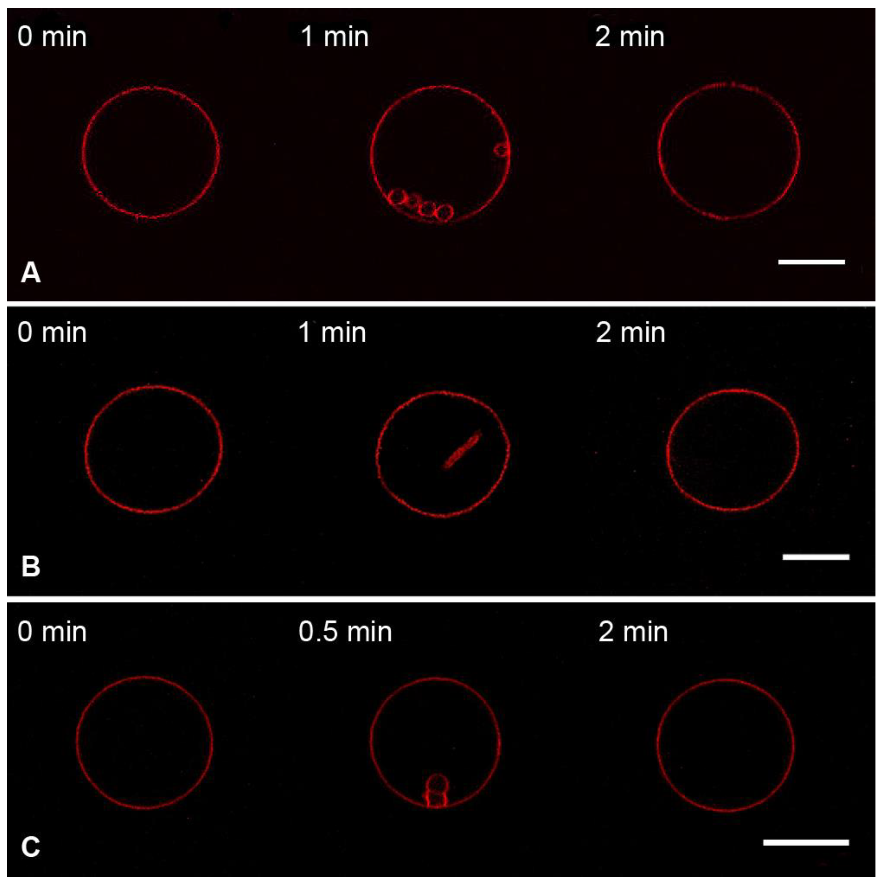 Membranes 13 00076 g005
