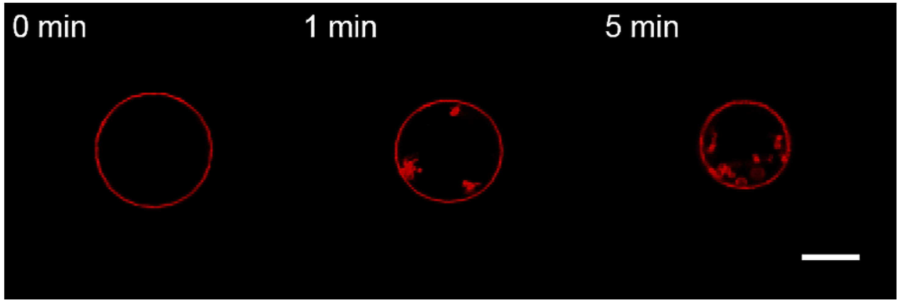 Membranes 13 00076 g007