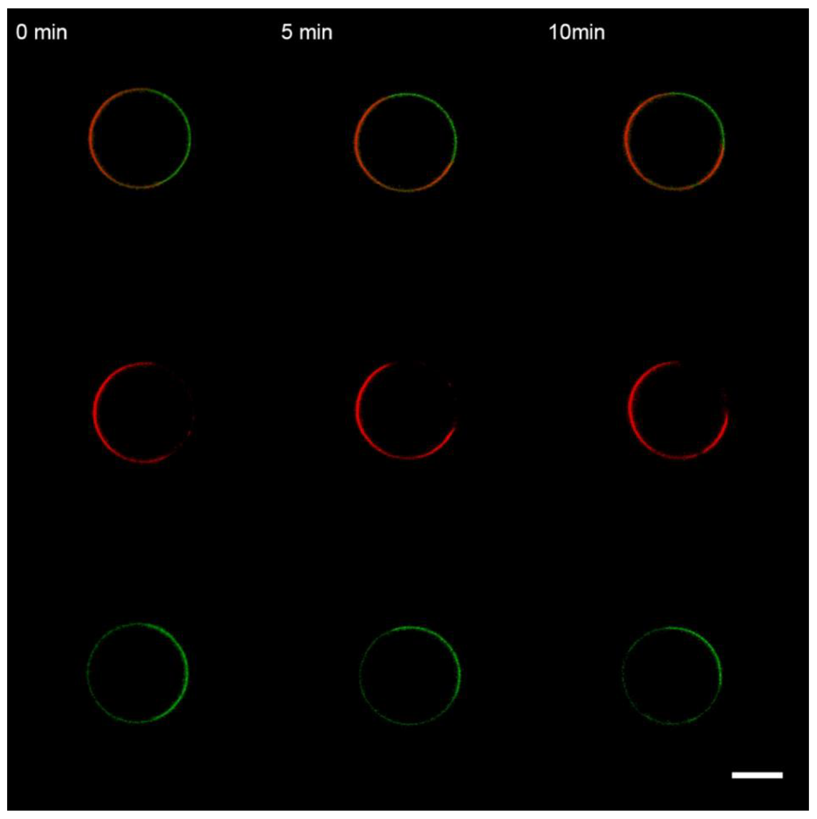 Membranes 13 00076 g009