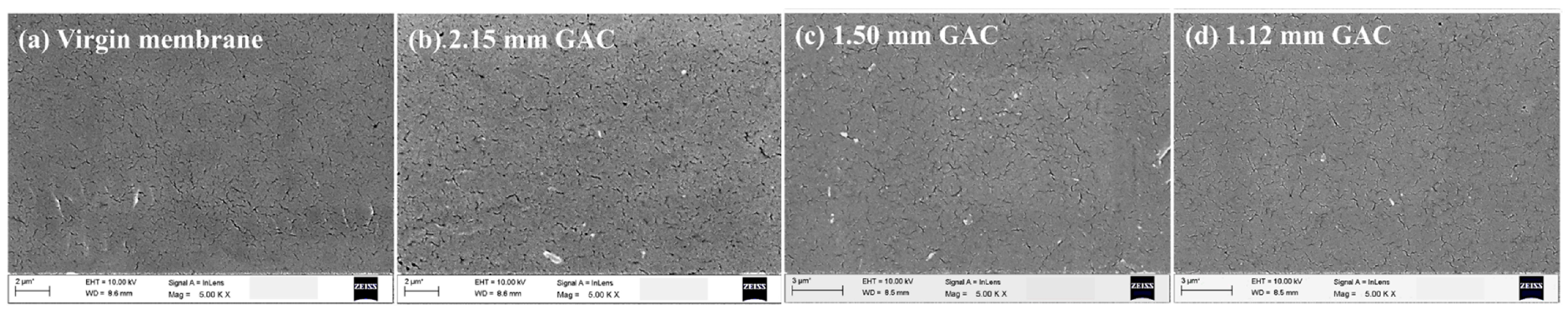 Membranes 13 00077 g007