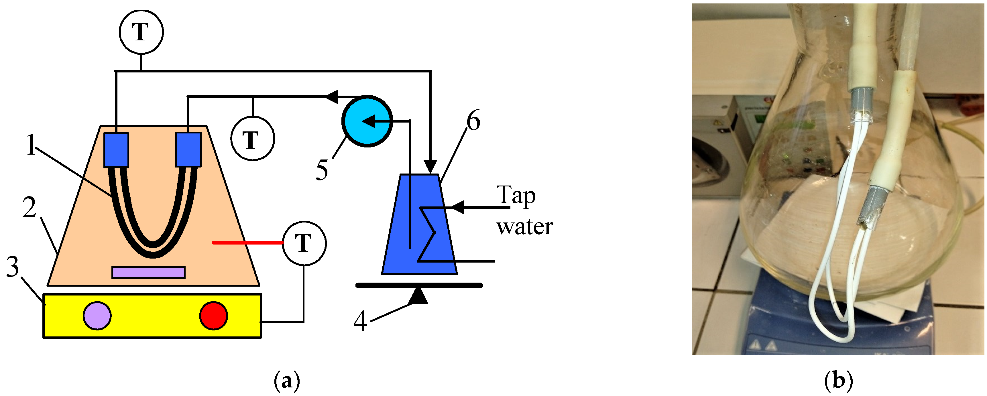 Membranes 13 00080 g001