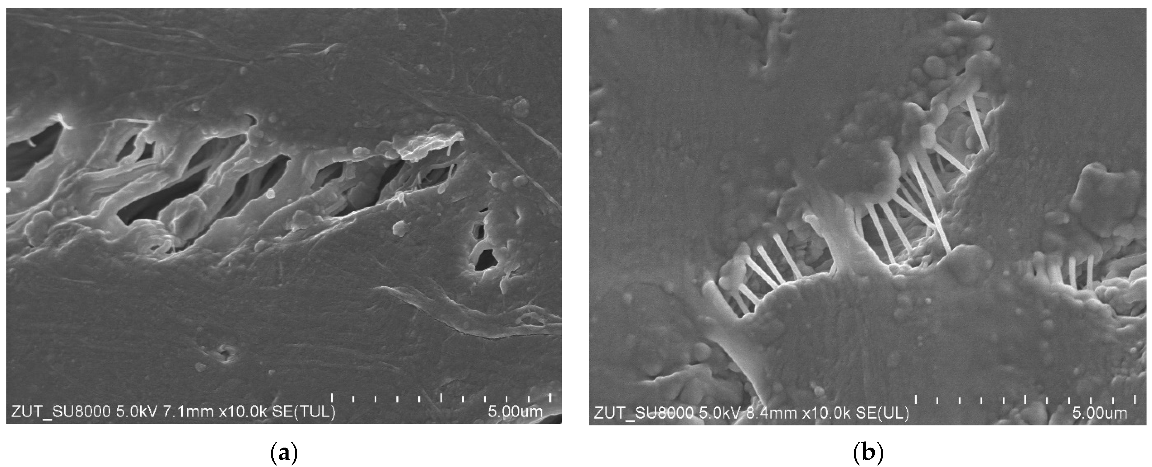 Membranes 13 00080 g005a