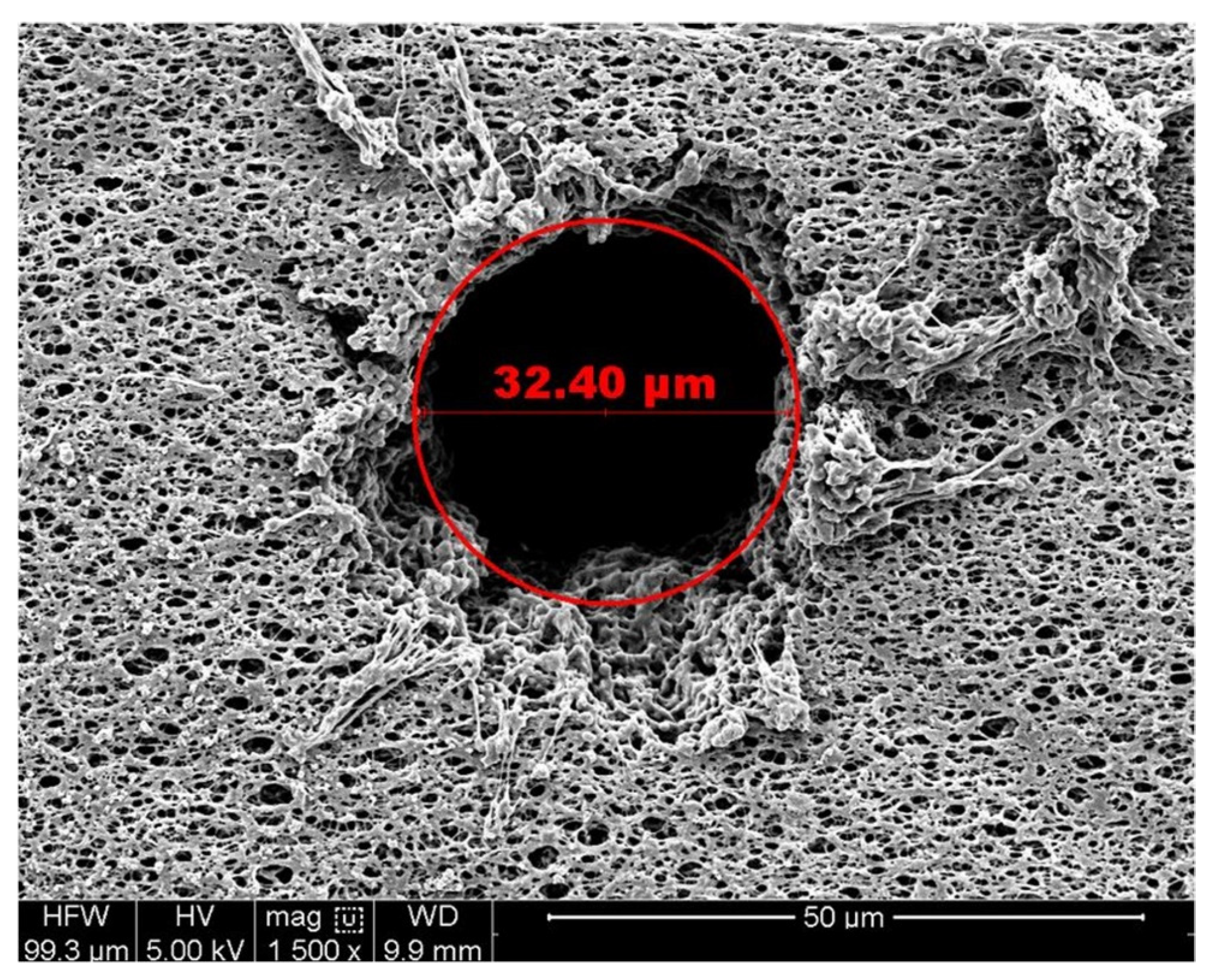 Membranes 13 00088 g003