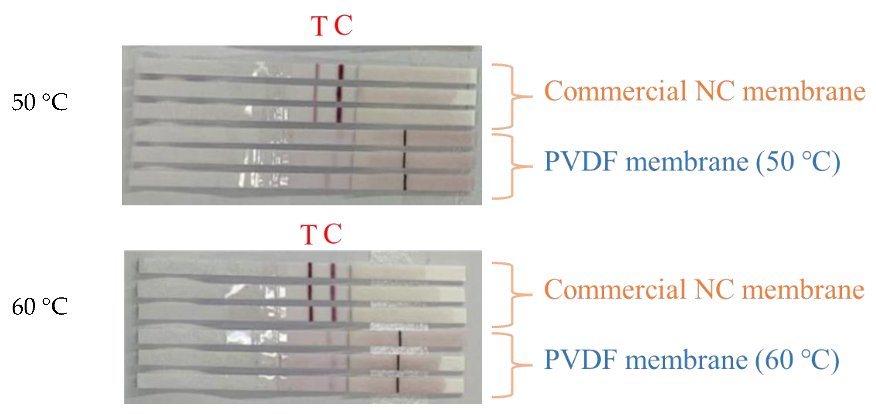 Membranes 13 00091 g008a Membranes 13 00091 g008a