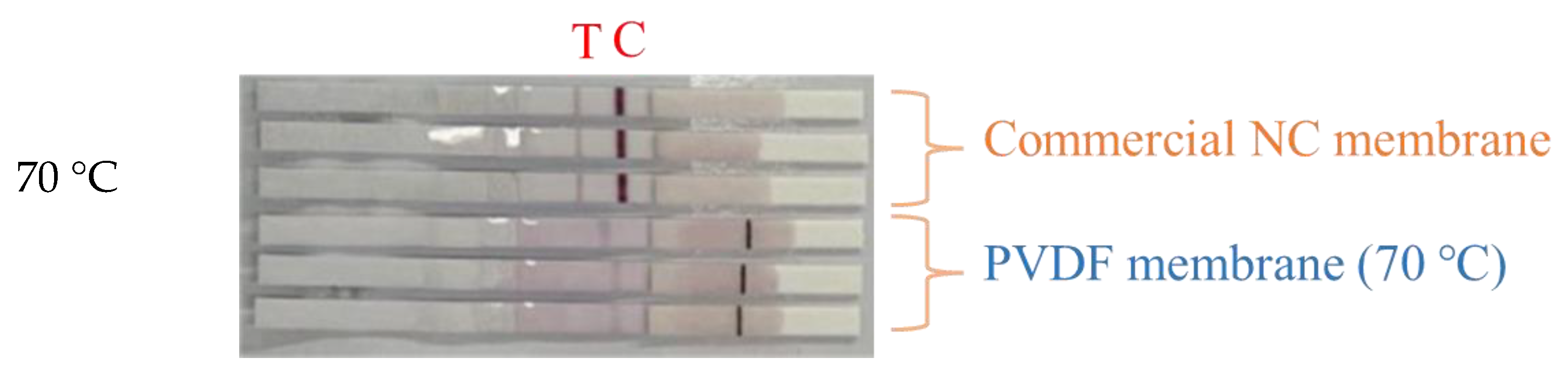 Membranes 13 00091 g008b Membranes 13 00091 g008b