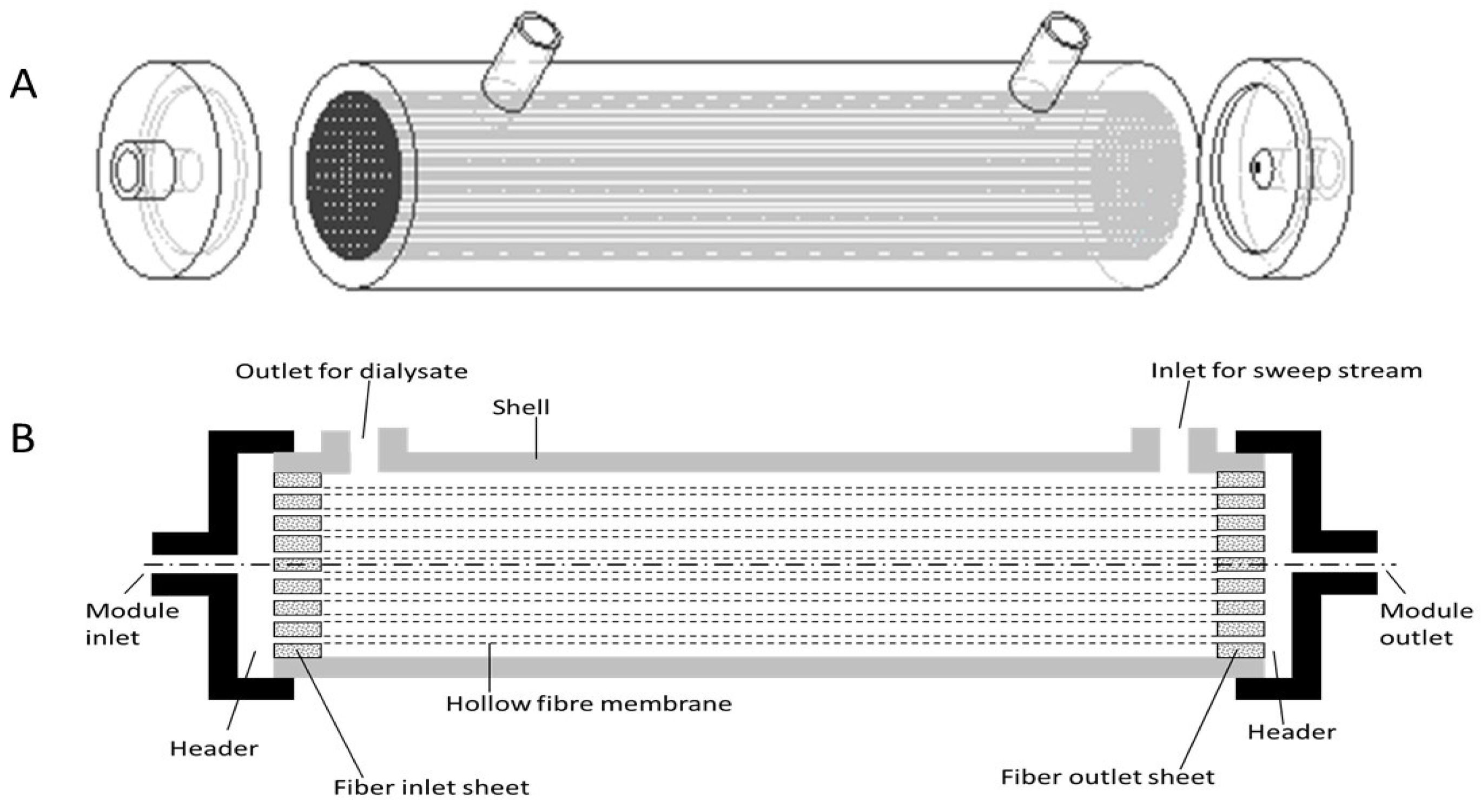 Membranes Free FullText Evaluation of a Novel Cuboid Hollow Fiber