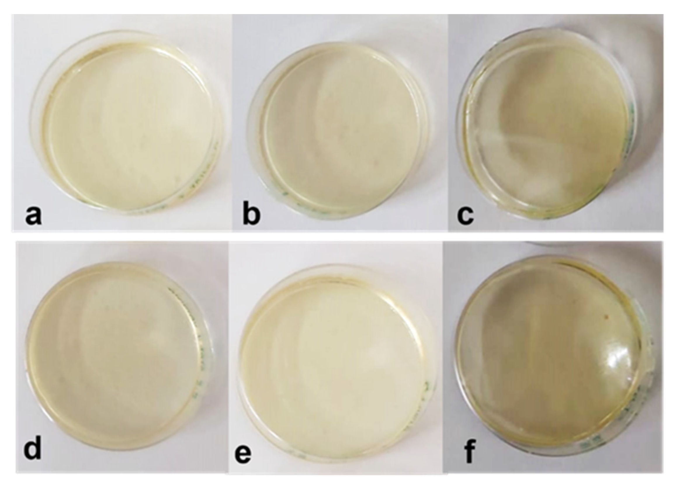 Membranes 13 00095 g008 Membranes 13 00095 g008