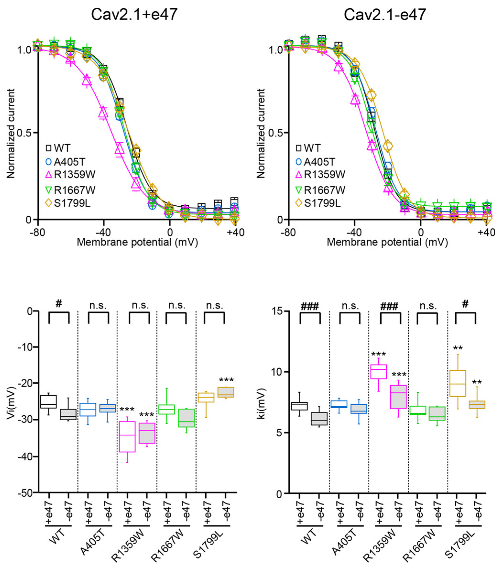 Membranes 13 00096 g004 Membranes 13 00096 g004