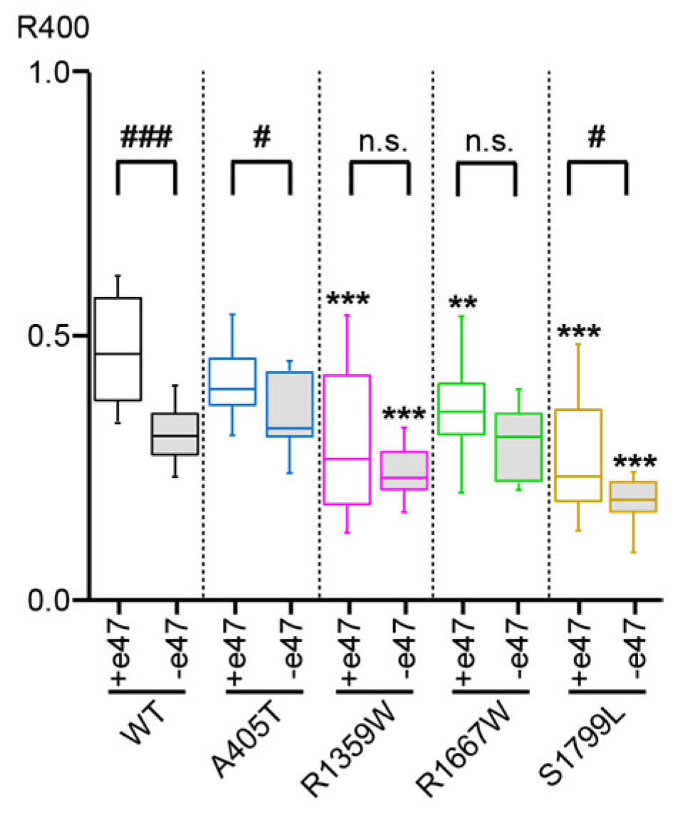 Membranes 13 00096 g005 Membranes 13 00096 g005