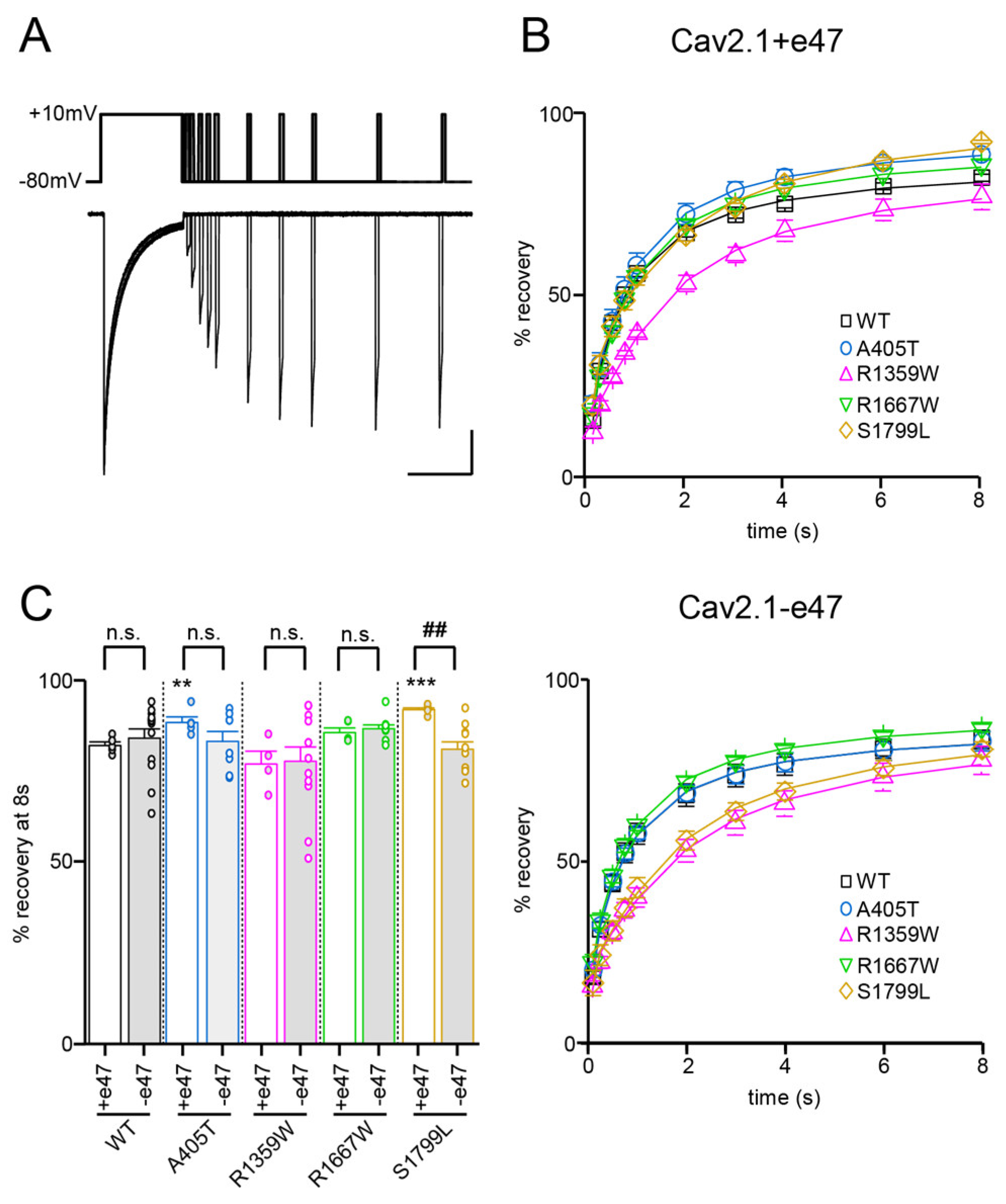 Membranes 13 00096 g006 Membranes 13 00096 g006