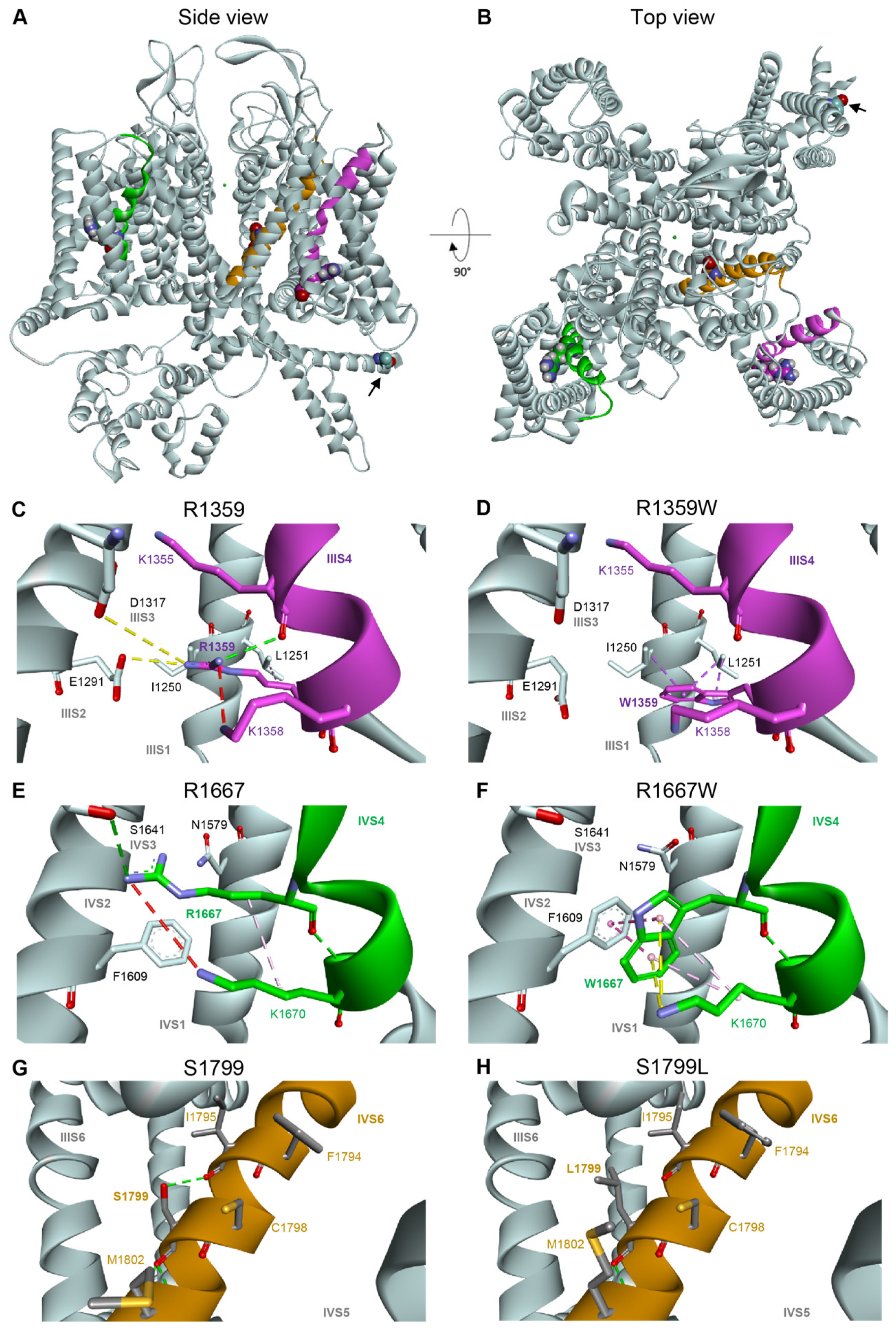 Membranes 13 00096 g007 Membranes 13 00096 g007