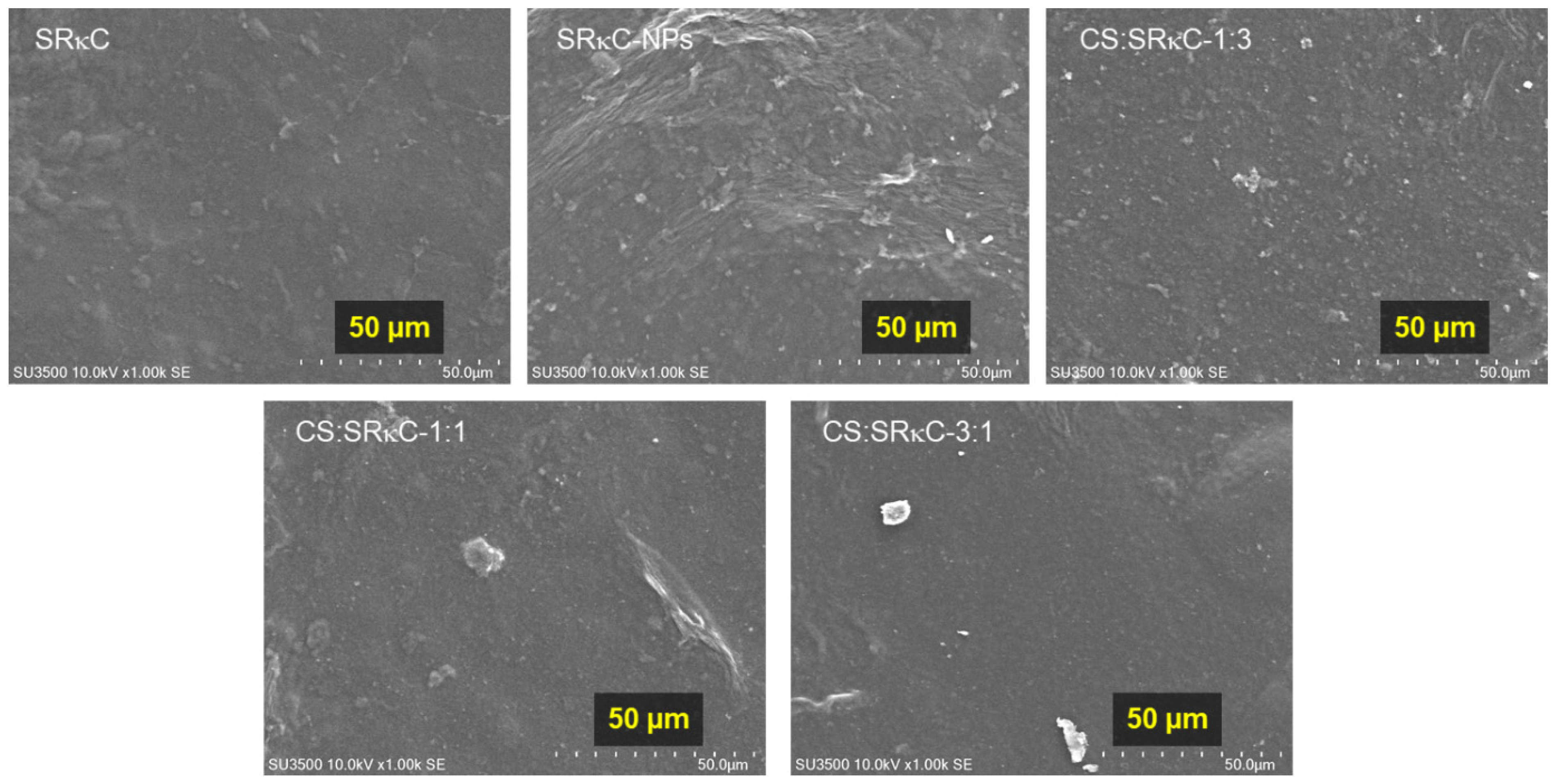 Membranes 13 00100 g004