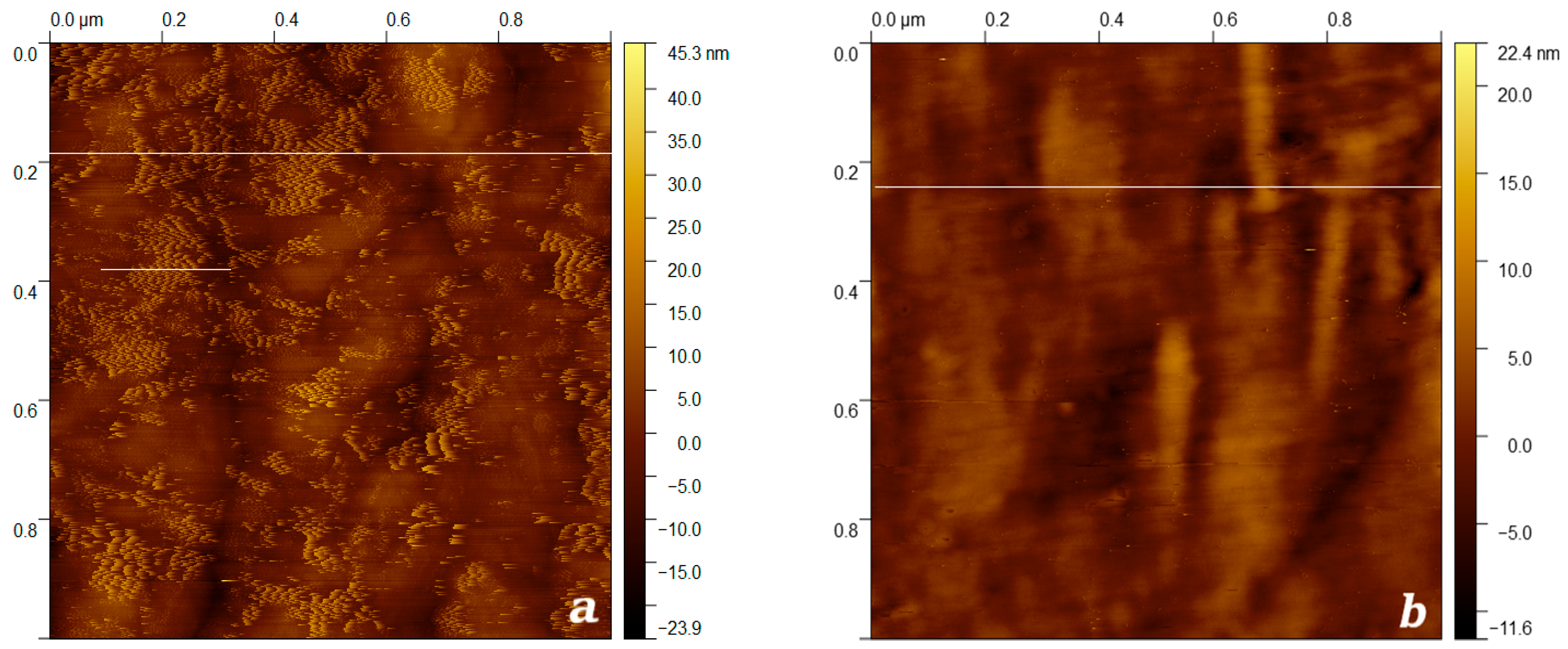 Membranes 13 00101 g006