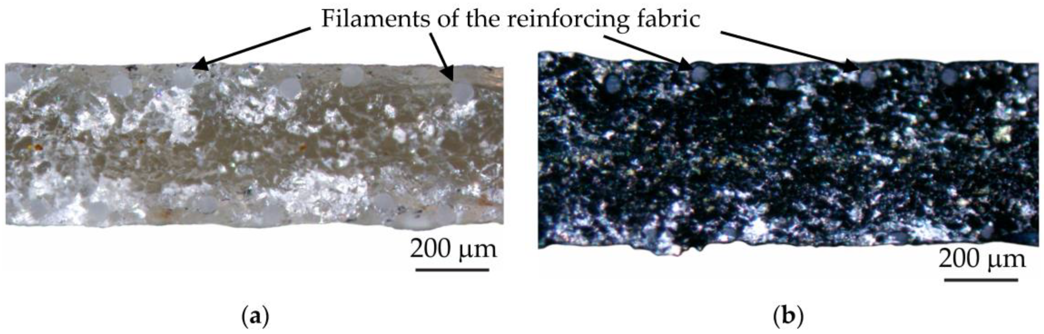 Membranes 13 00103 g001 Membranes 13 00103 g001