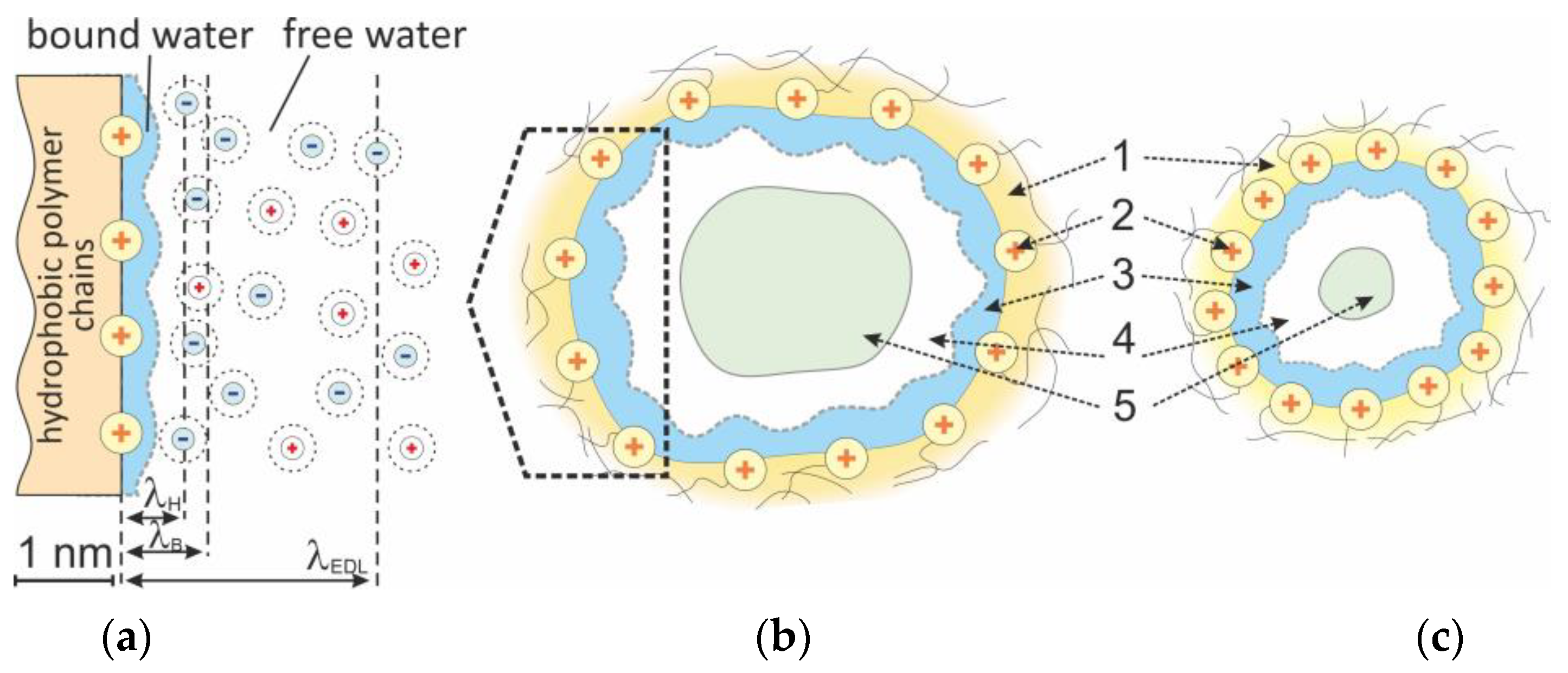 Membranes 13 00103 g003 Membranes 13 00103 g003