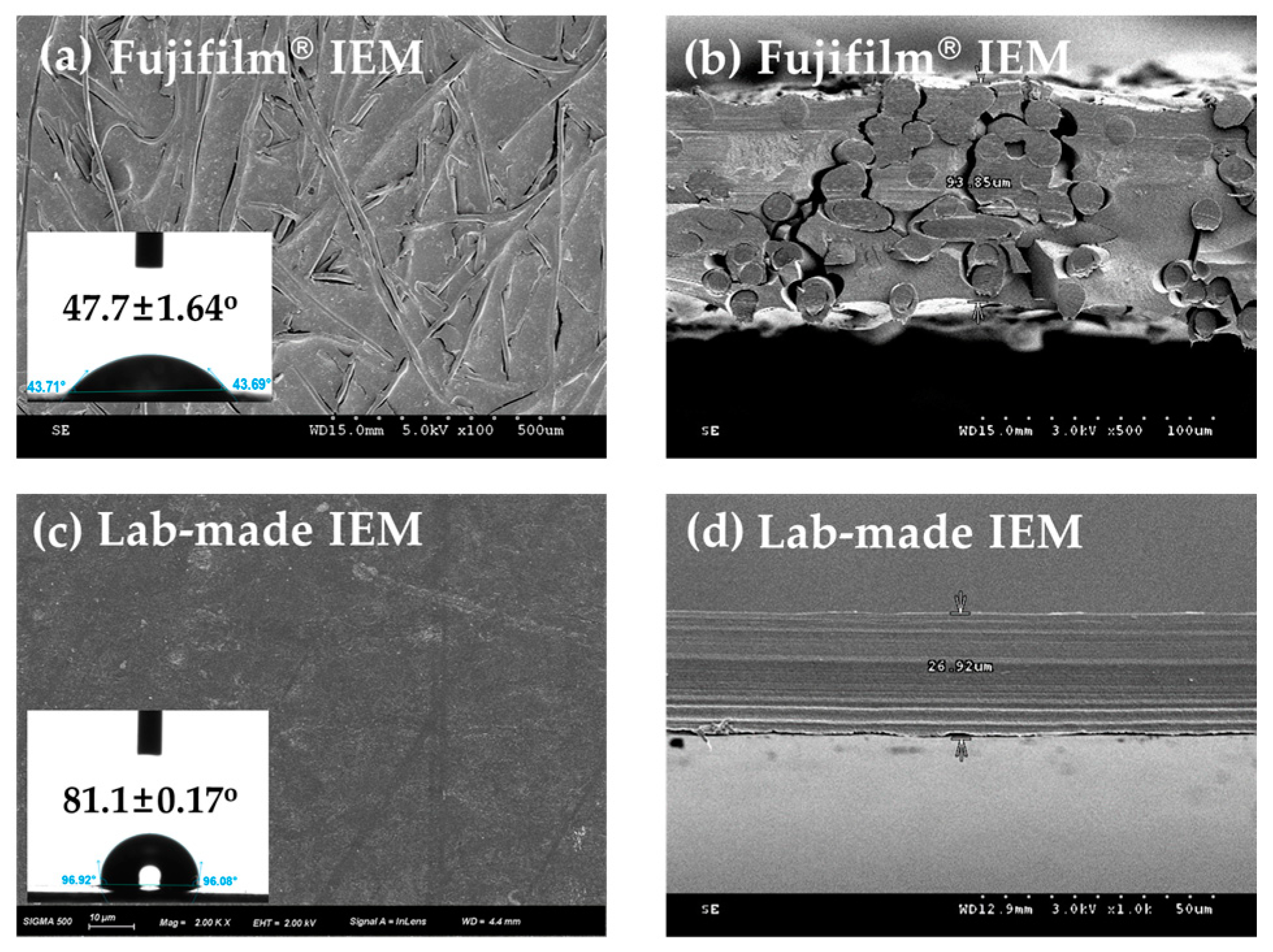 Membranes 13 00106 g003