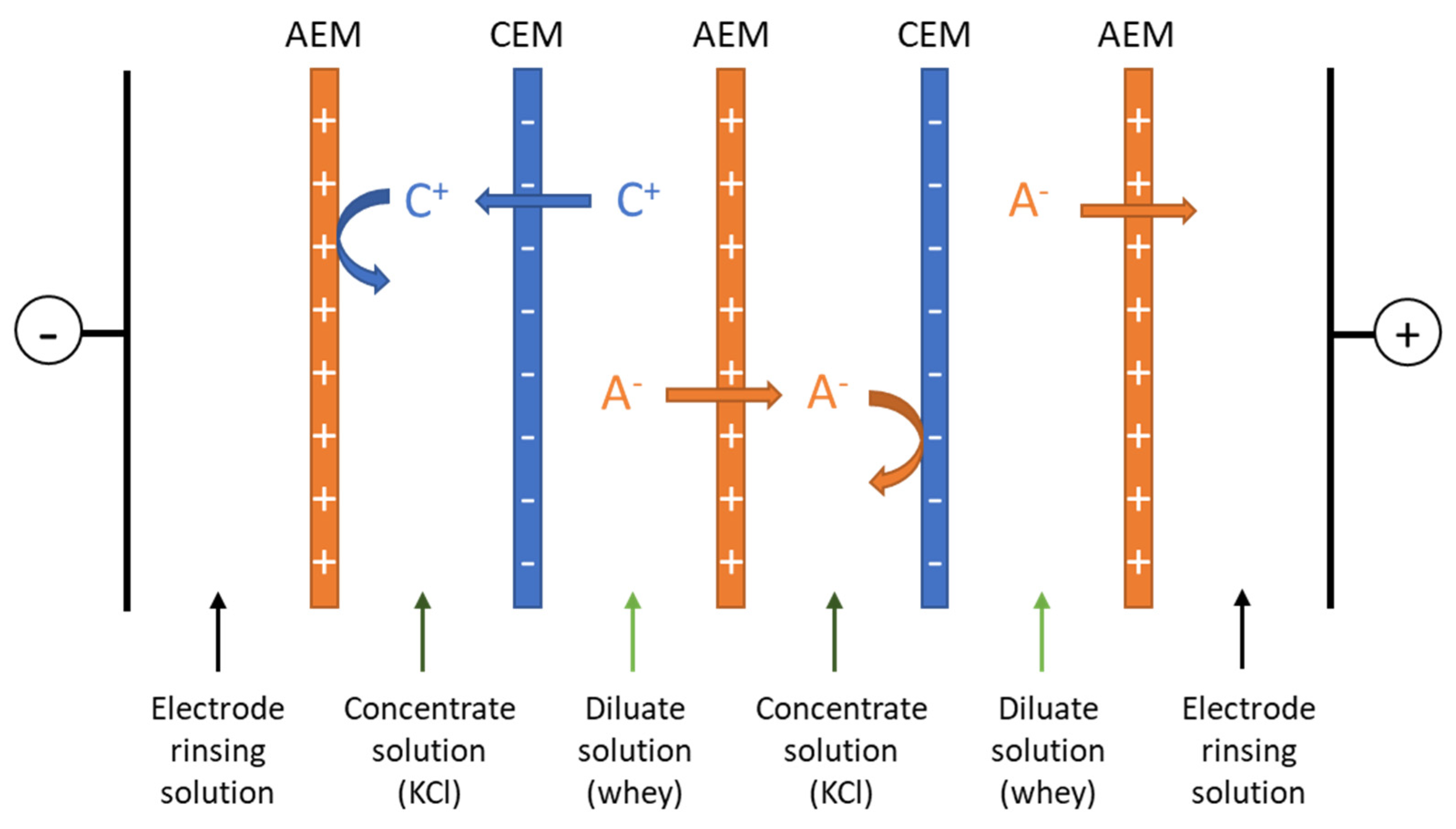 Membranes Free FullText Impact of Hierarchical CationExchange