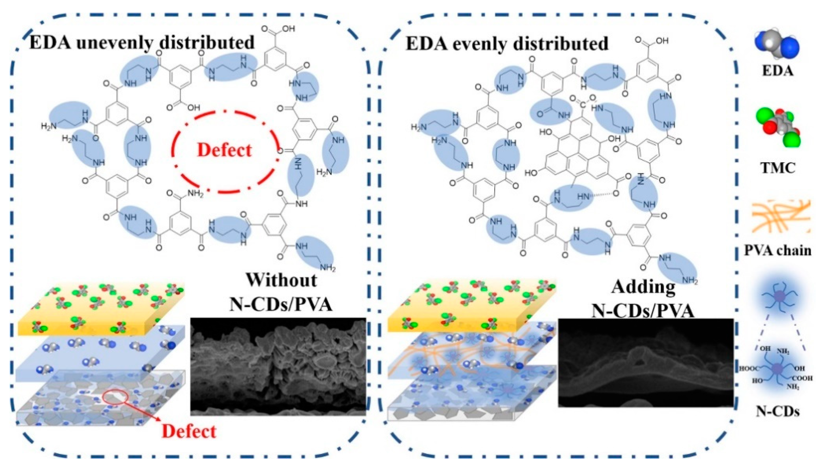 Membranes 13 00108 g005