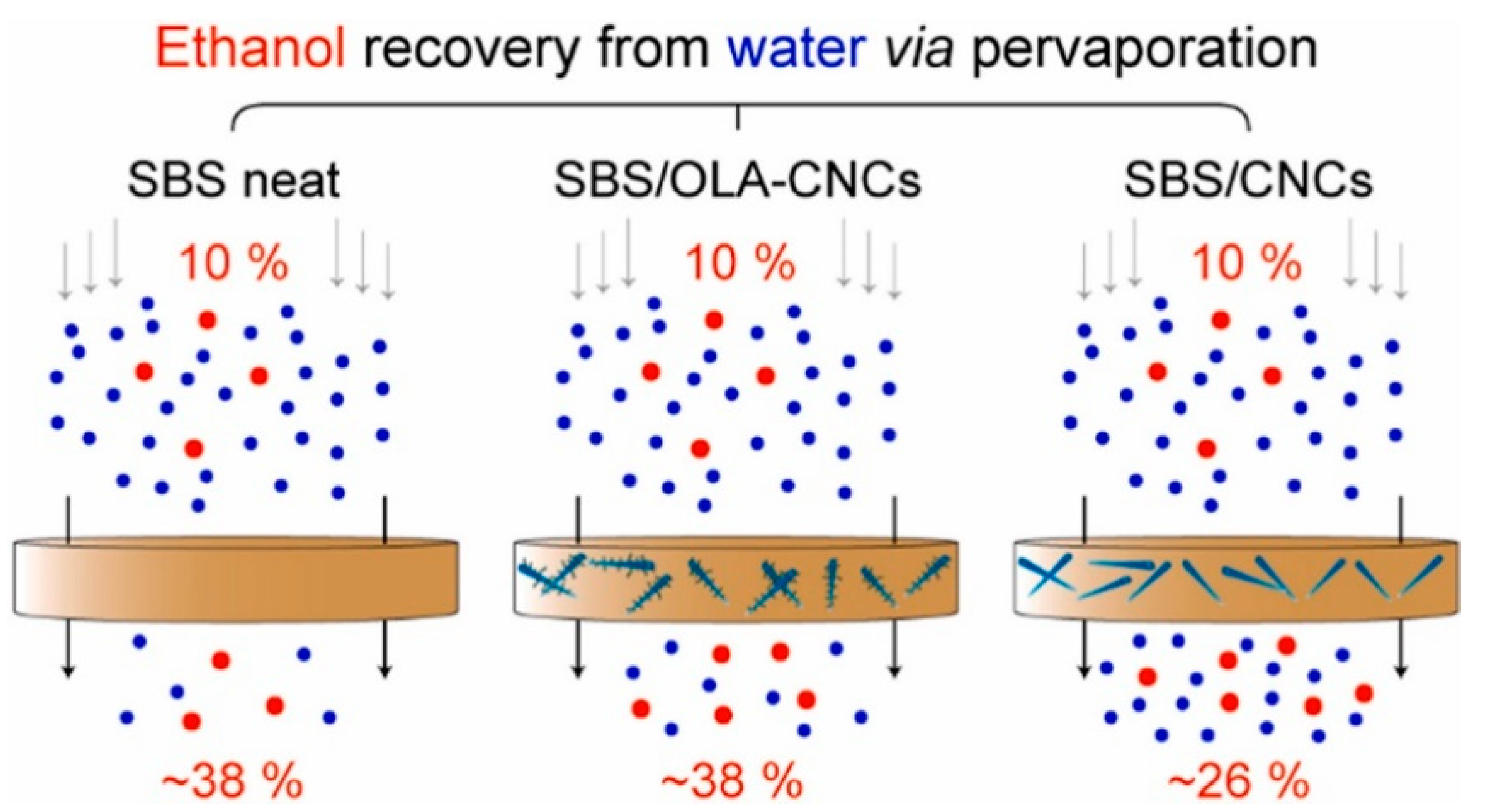 Membranes 13 00108 g018