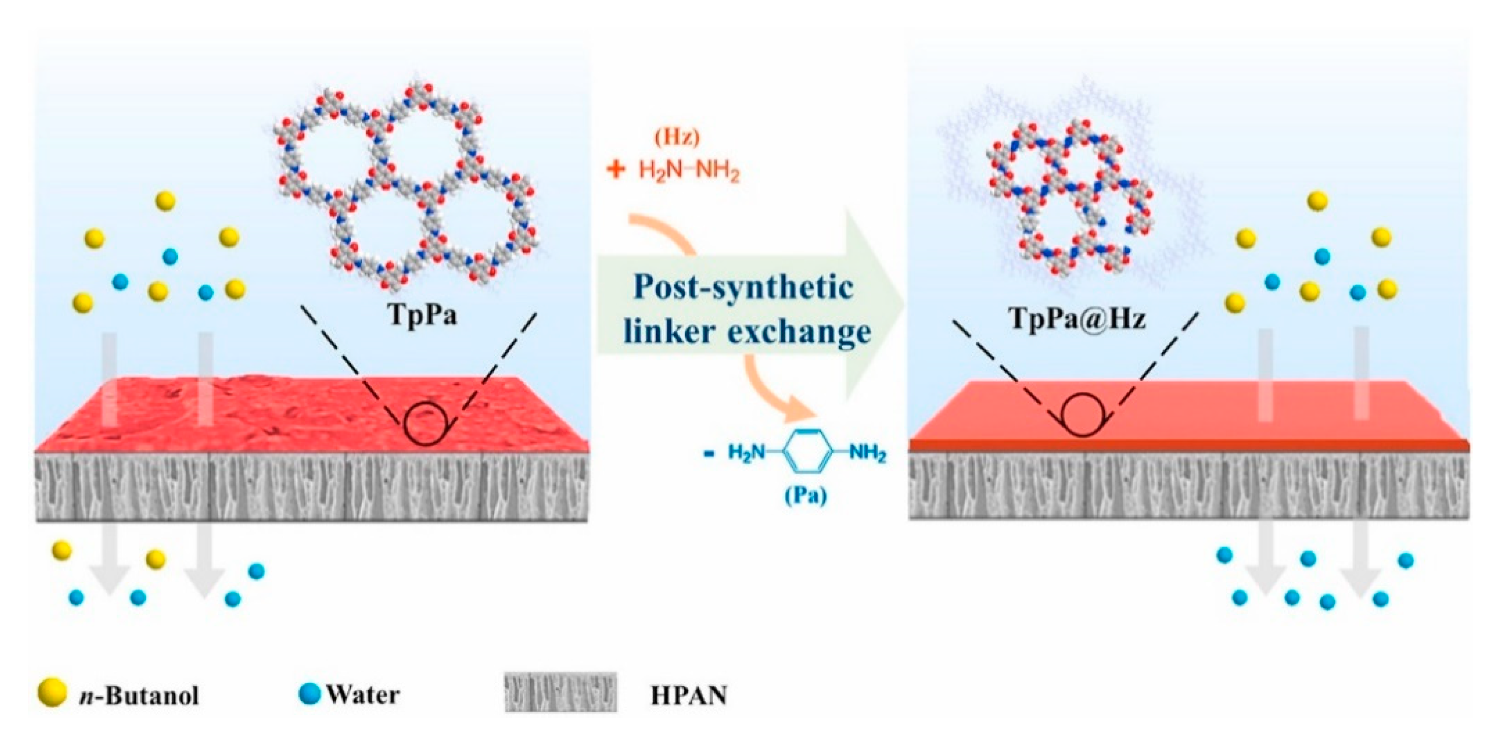 Membranes 13 00108 g023