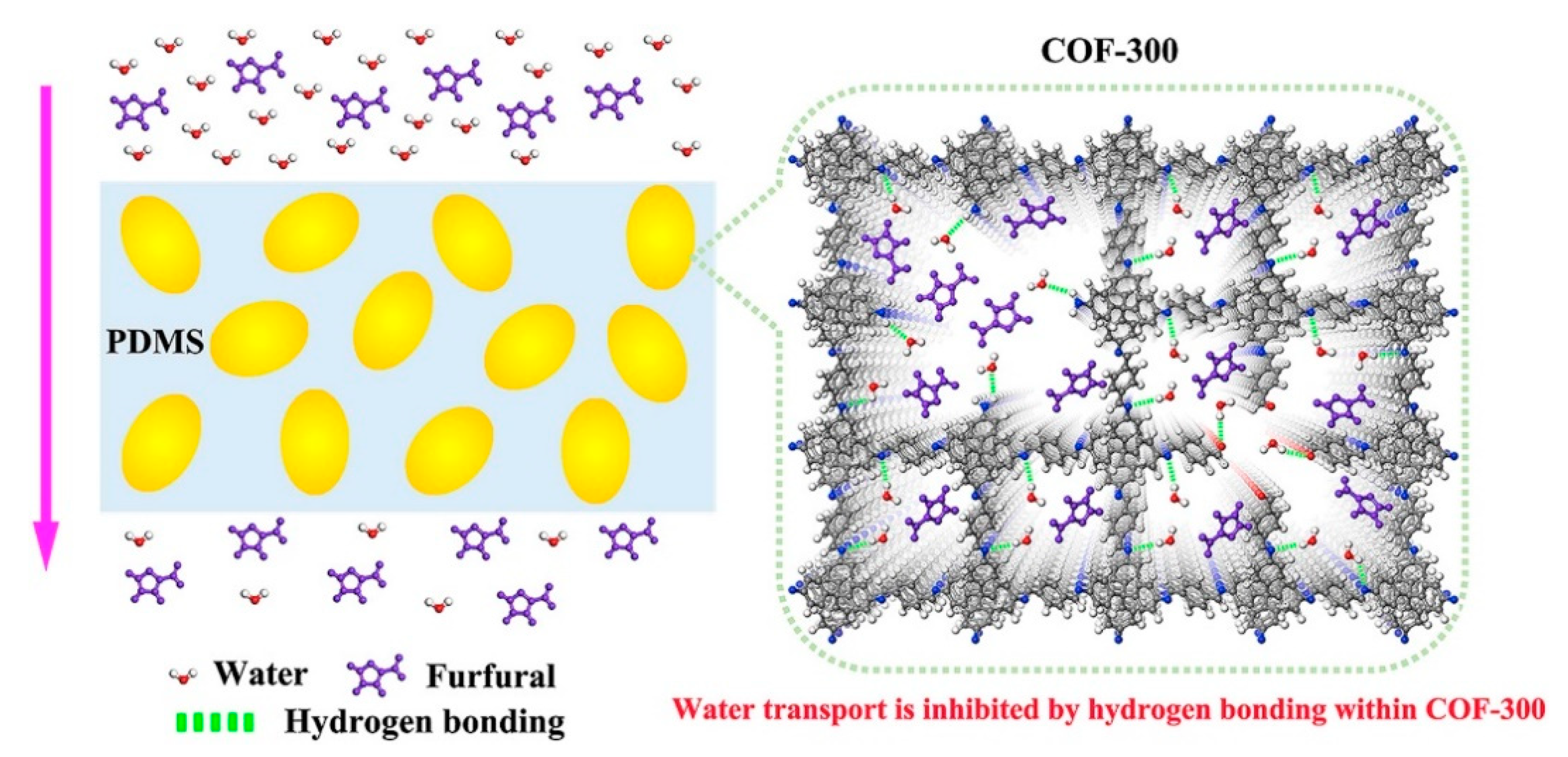 Membranes 13 00108 g024