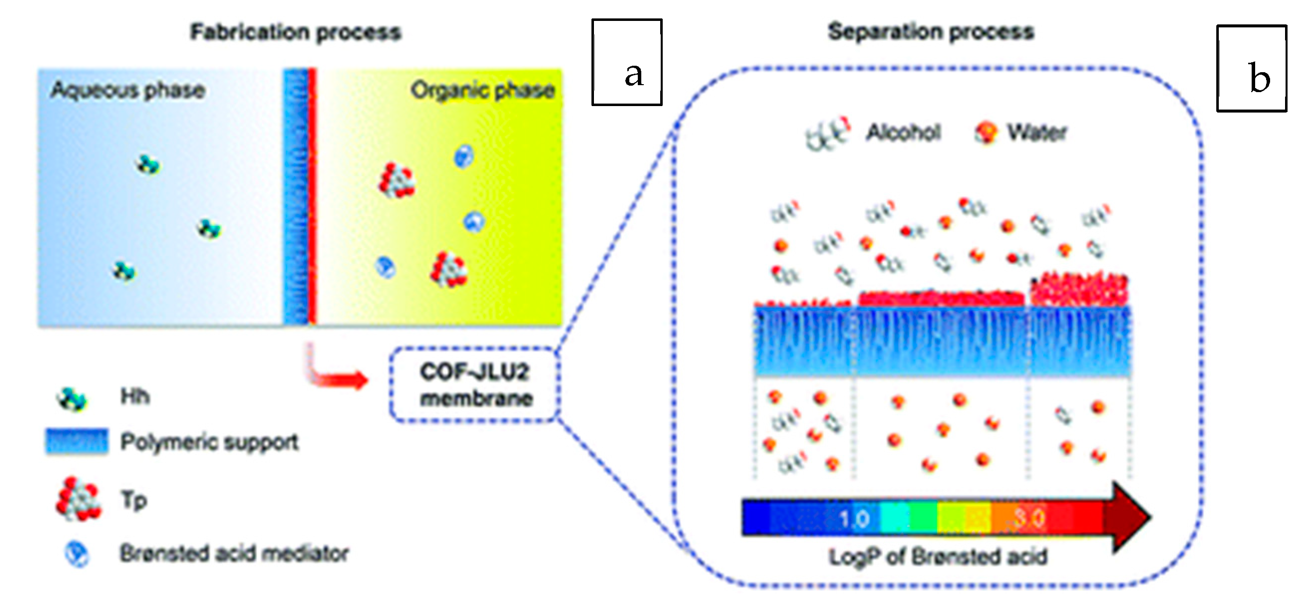 Membranes 13 00108 g025