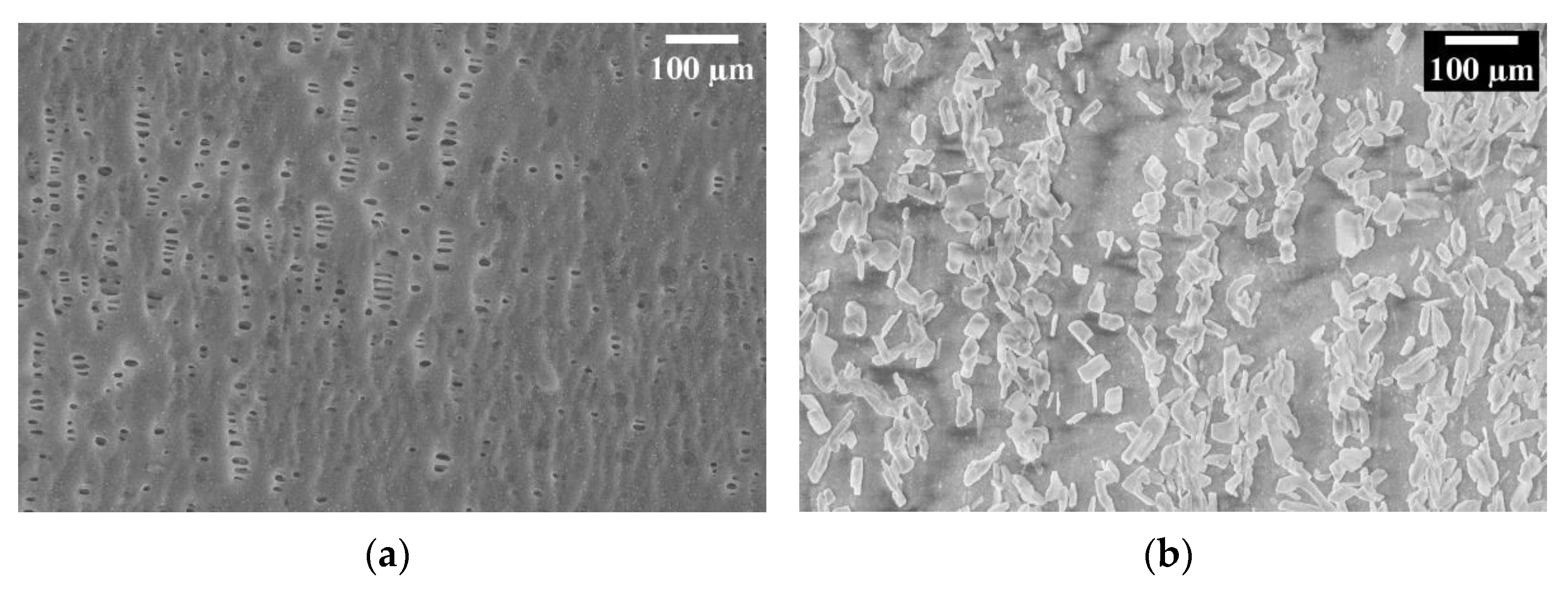 Membranes 13 00109 g005 Membranes 13 00109 g005