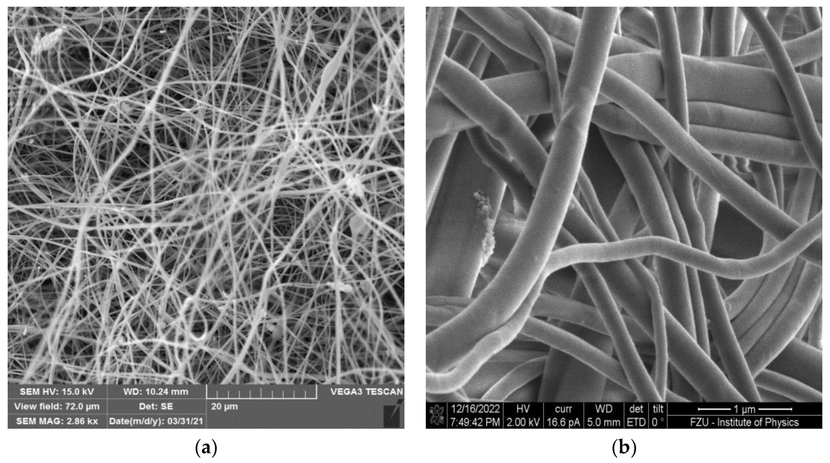 Membranes 13 00110 g003 Membranes 13 00110 g003
