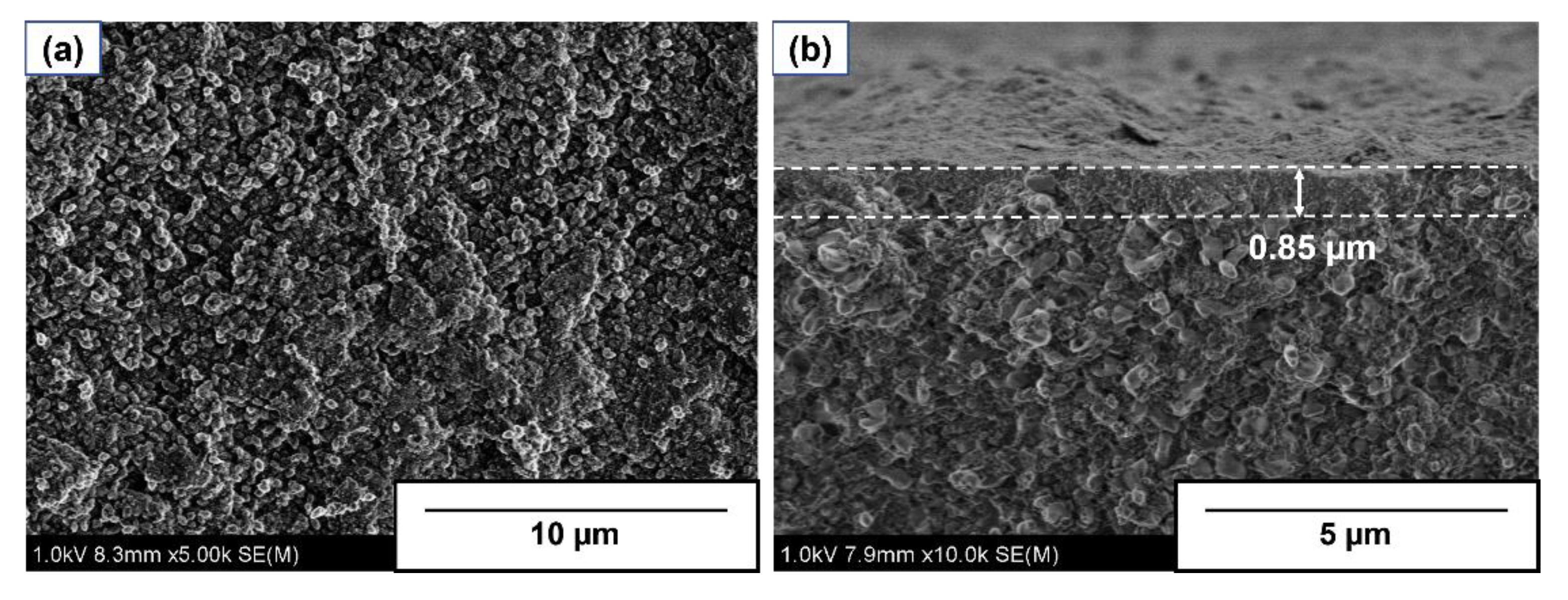Membranes 13 00111 g002