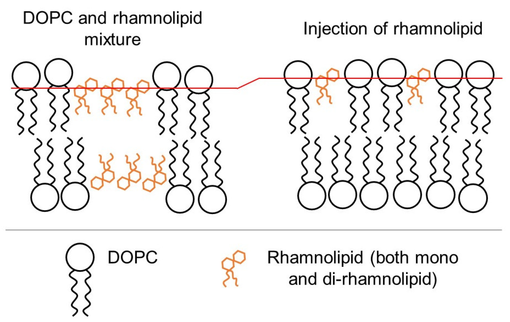 Membranes 13 00112 g005