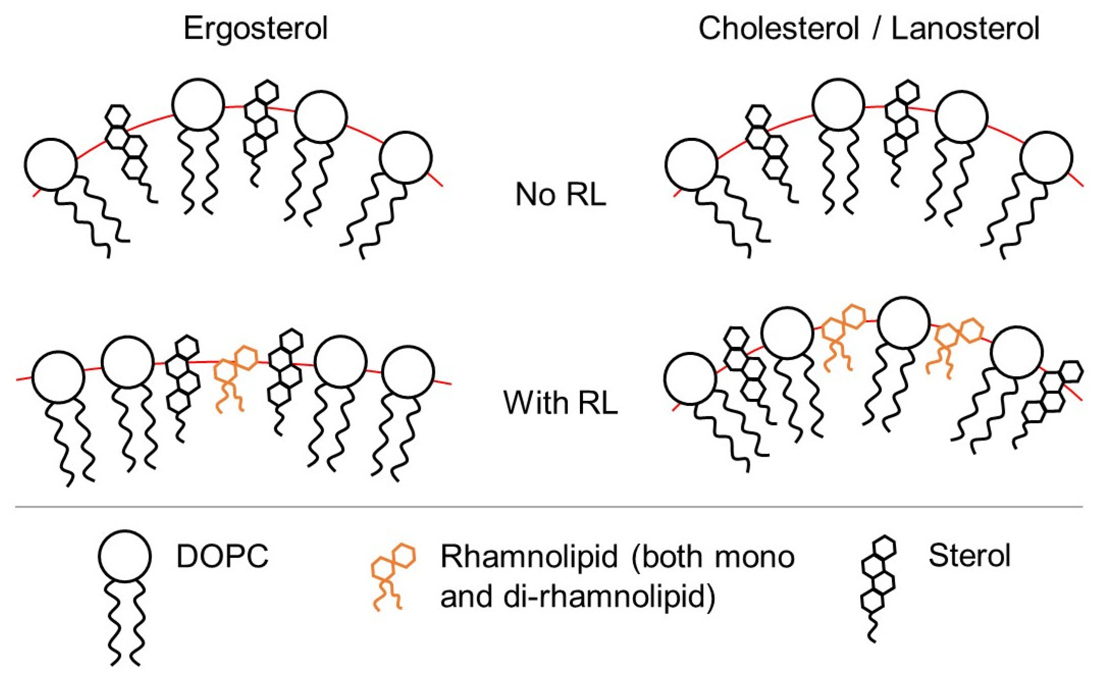 Membranes 13 00112 g010