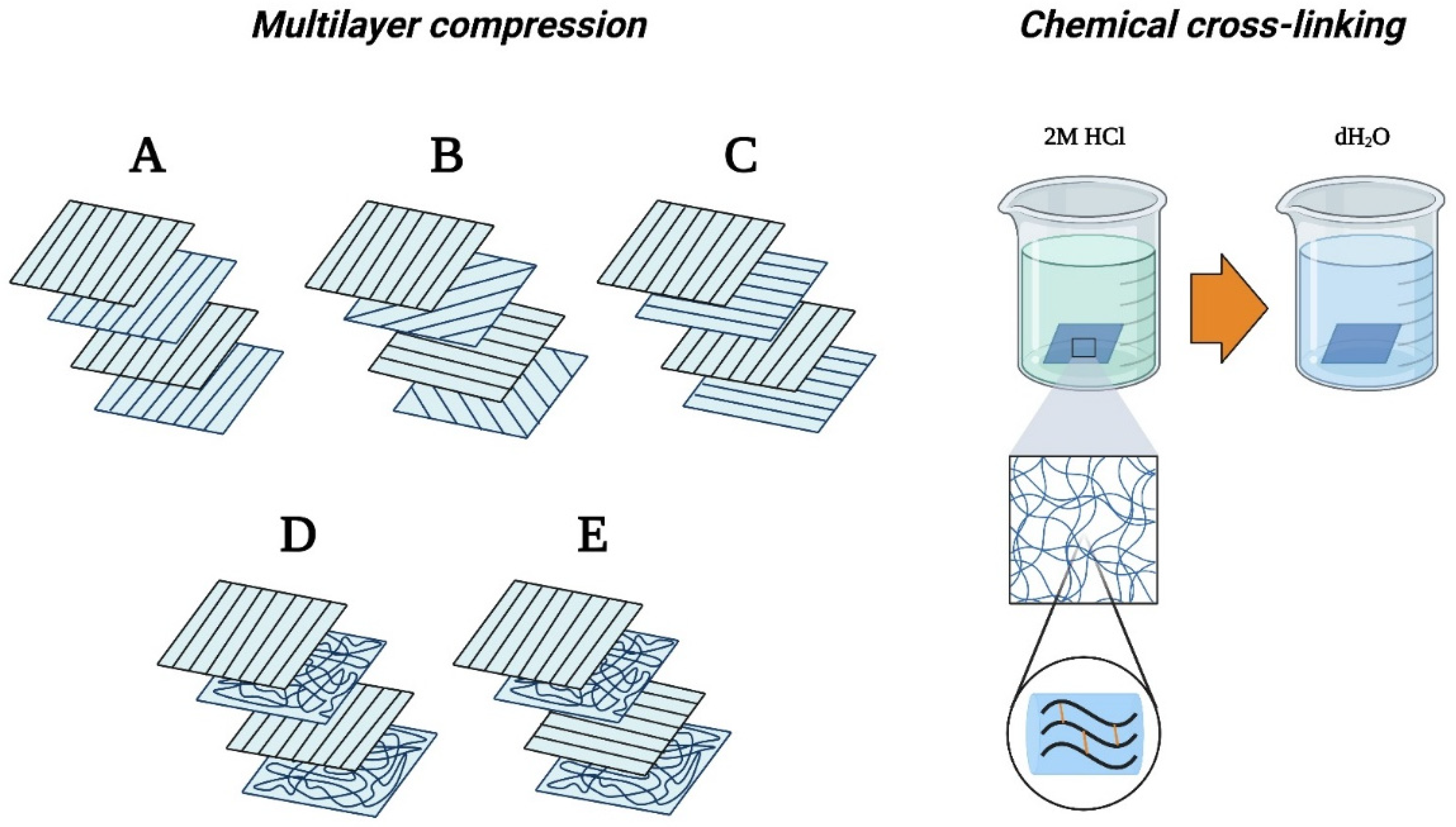 Membranes 13 00116 g002 Membranes 13 00116 g002
