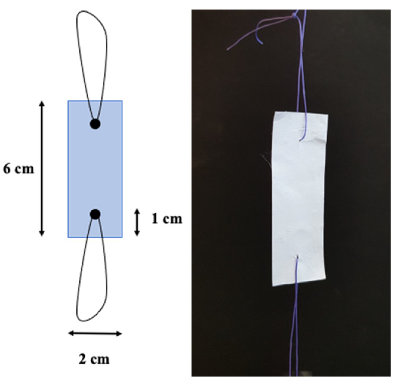 Membranes 13 00116 g004 Membranes 13 00116 g004