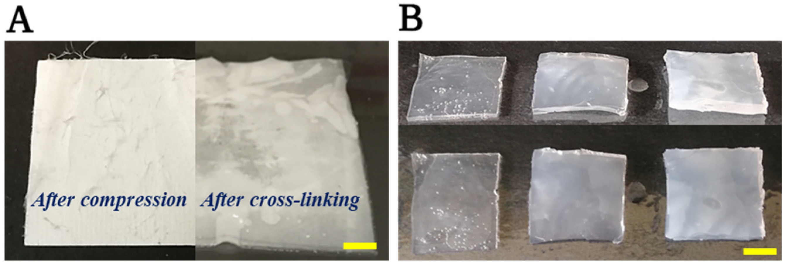 Membranes 13 00116 g006 Membranes 13 00116 g006