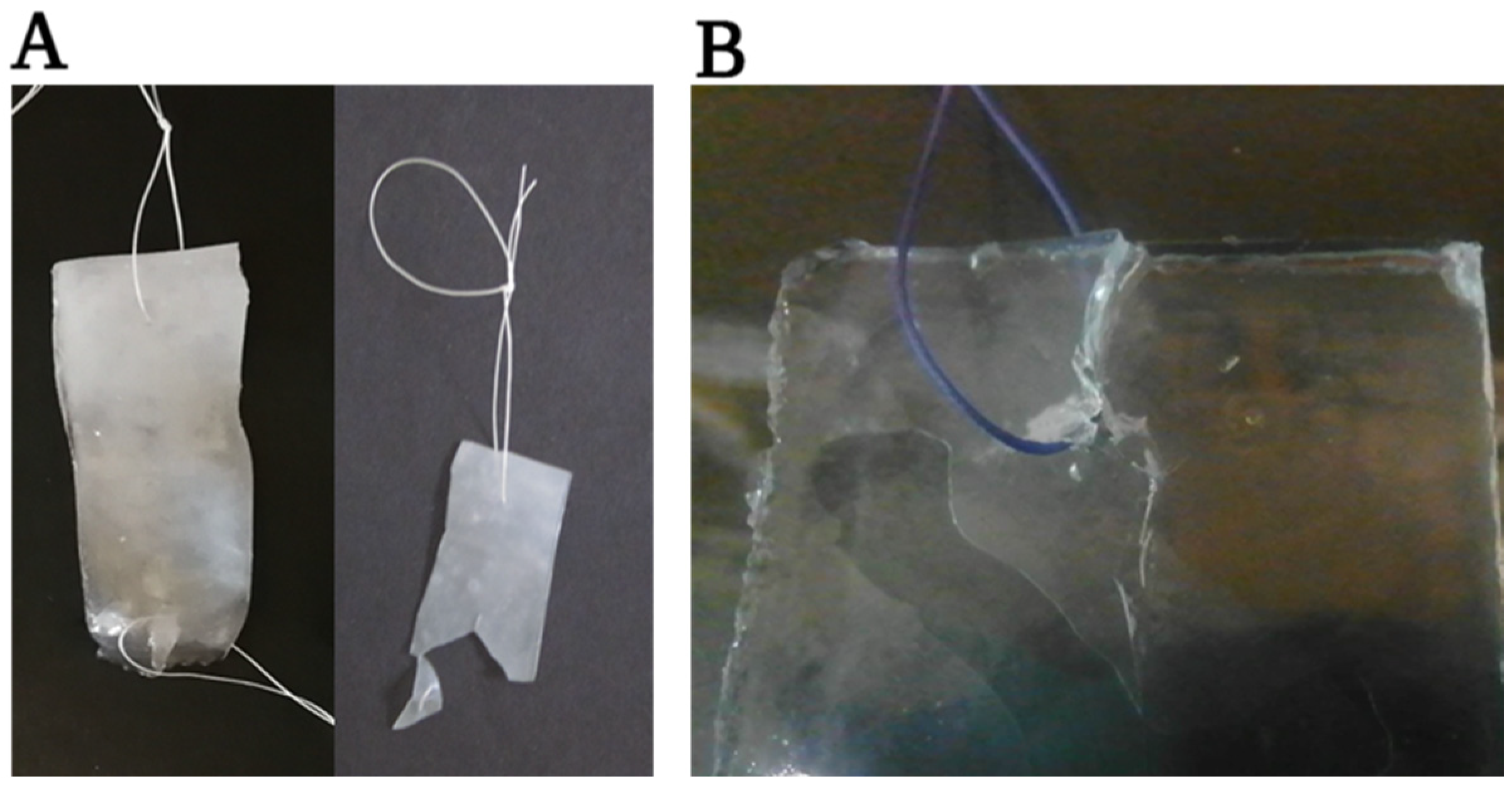 Membranes 13 00116 g015 Membranes 13 00116 g015