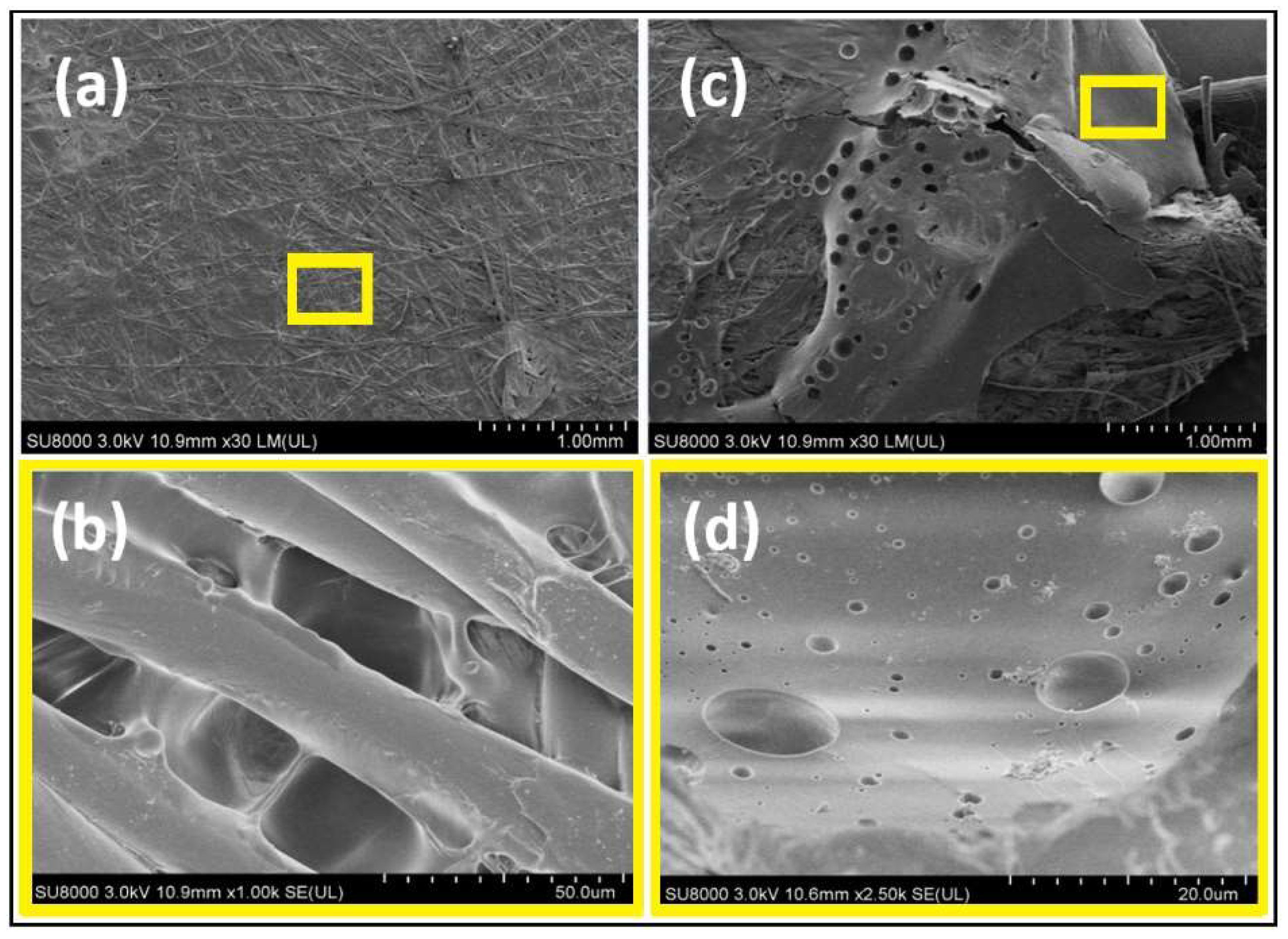Membranes 13 00117 g004 Membranes 13 00117 g004