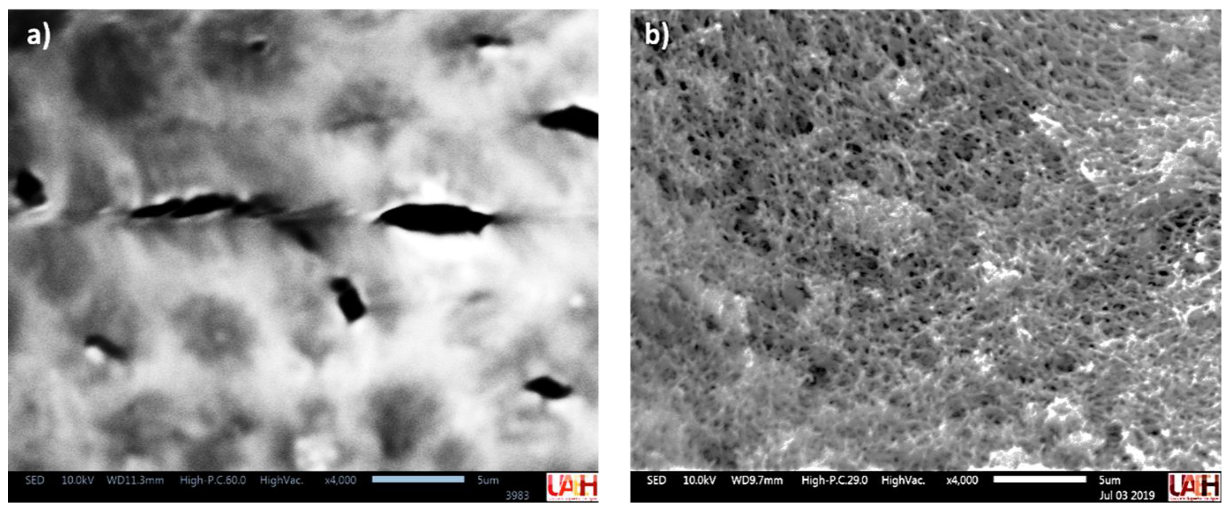 Membranes 13 00123 g001 Membranes 13 00123 g001