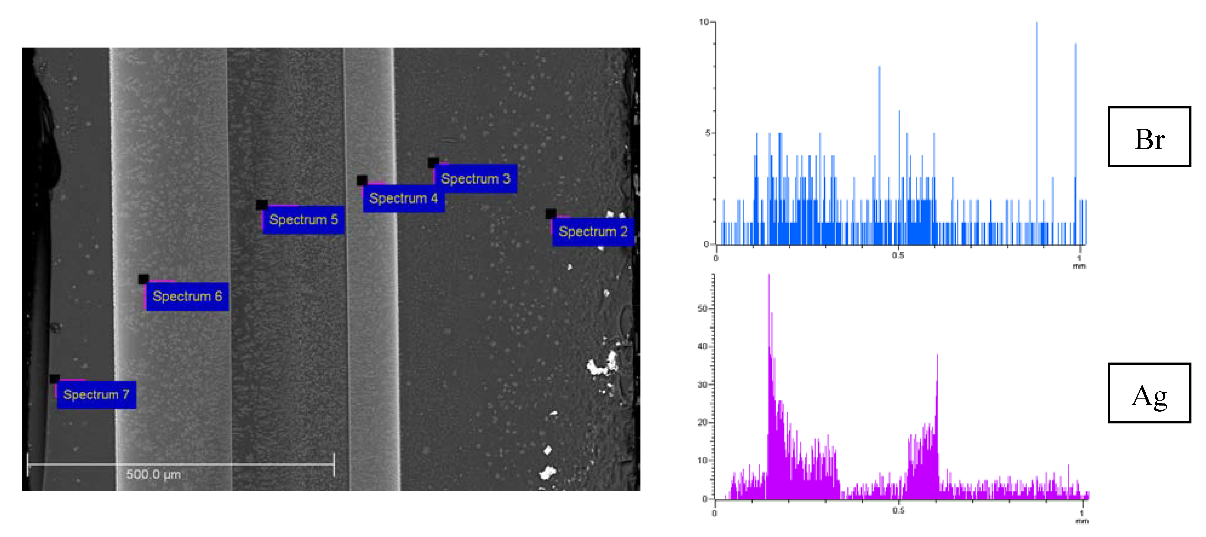 Membranes 13 00126 g005 Membranes 13 00126 g005
