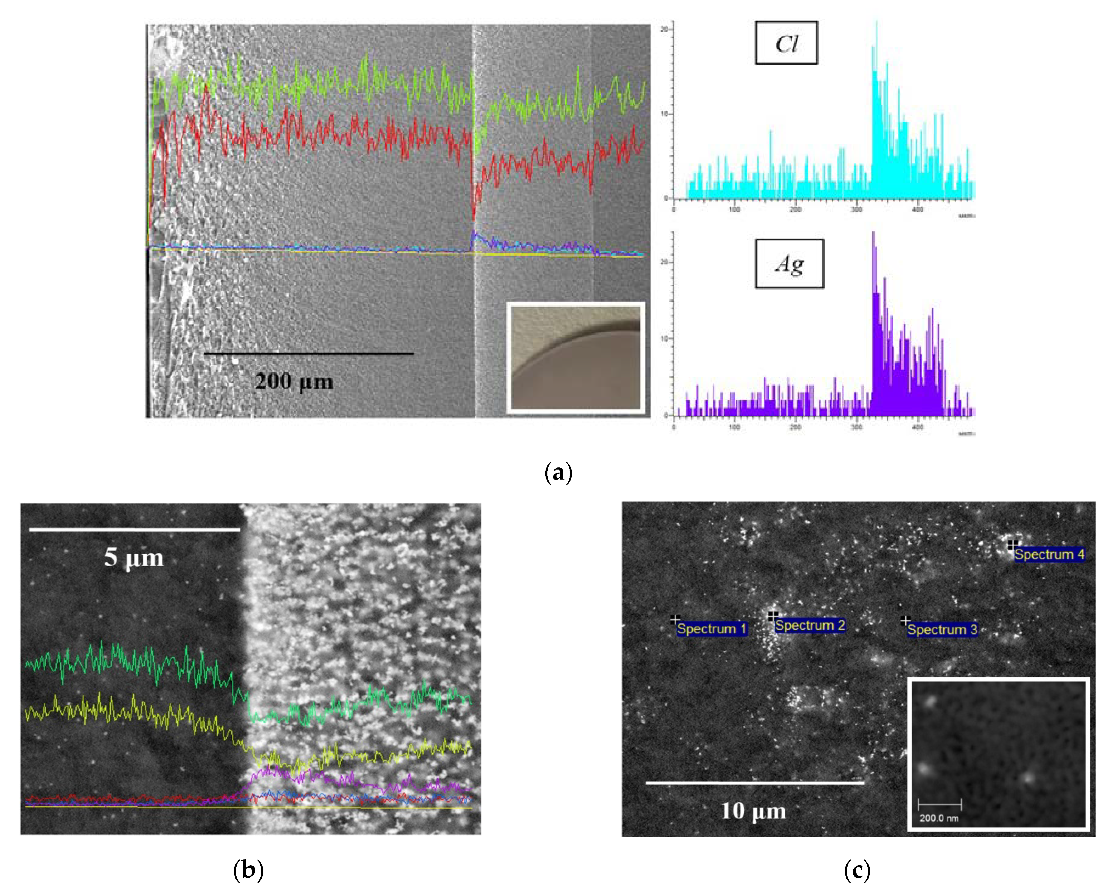 Membranes 13 00126 g006 Membranes 13 00126 g006