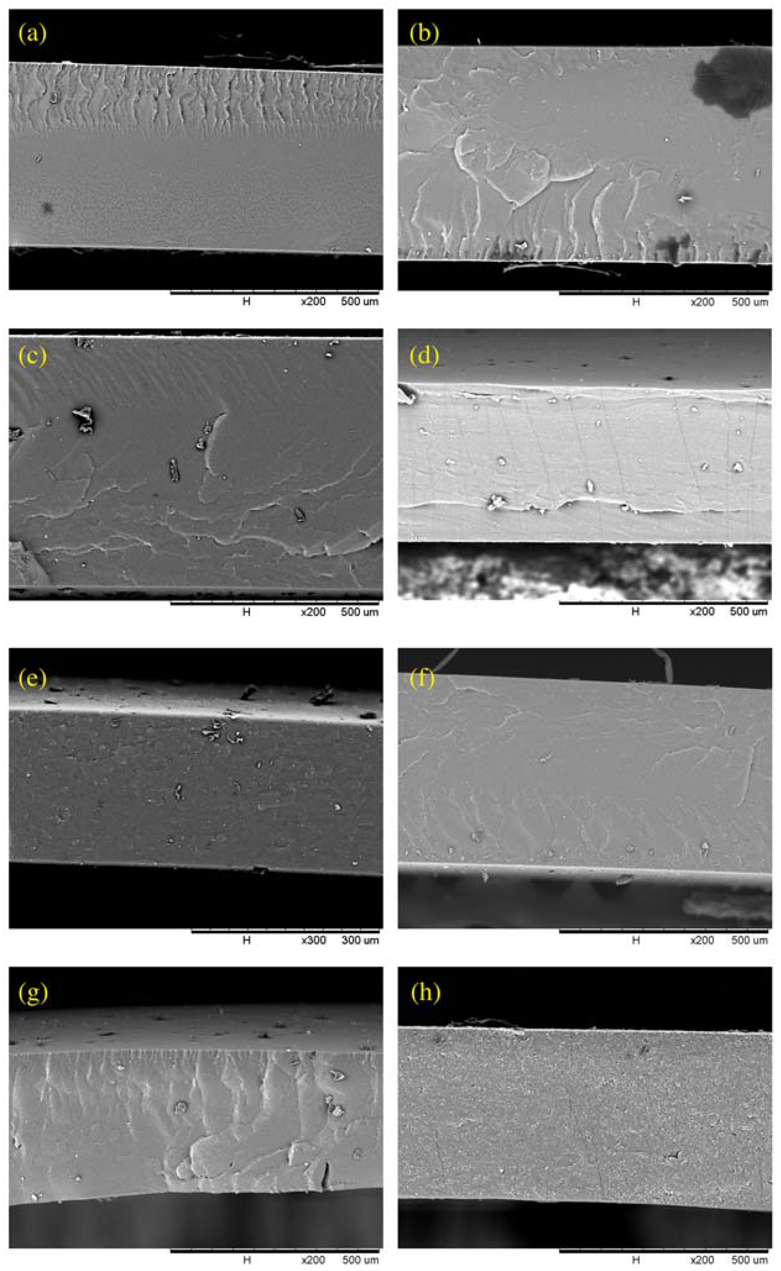Membranes 13 00134 g004 Membranes 13 00134 g004