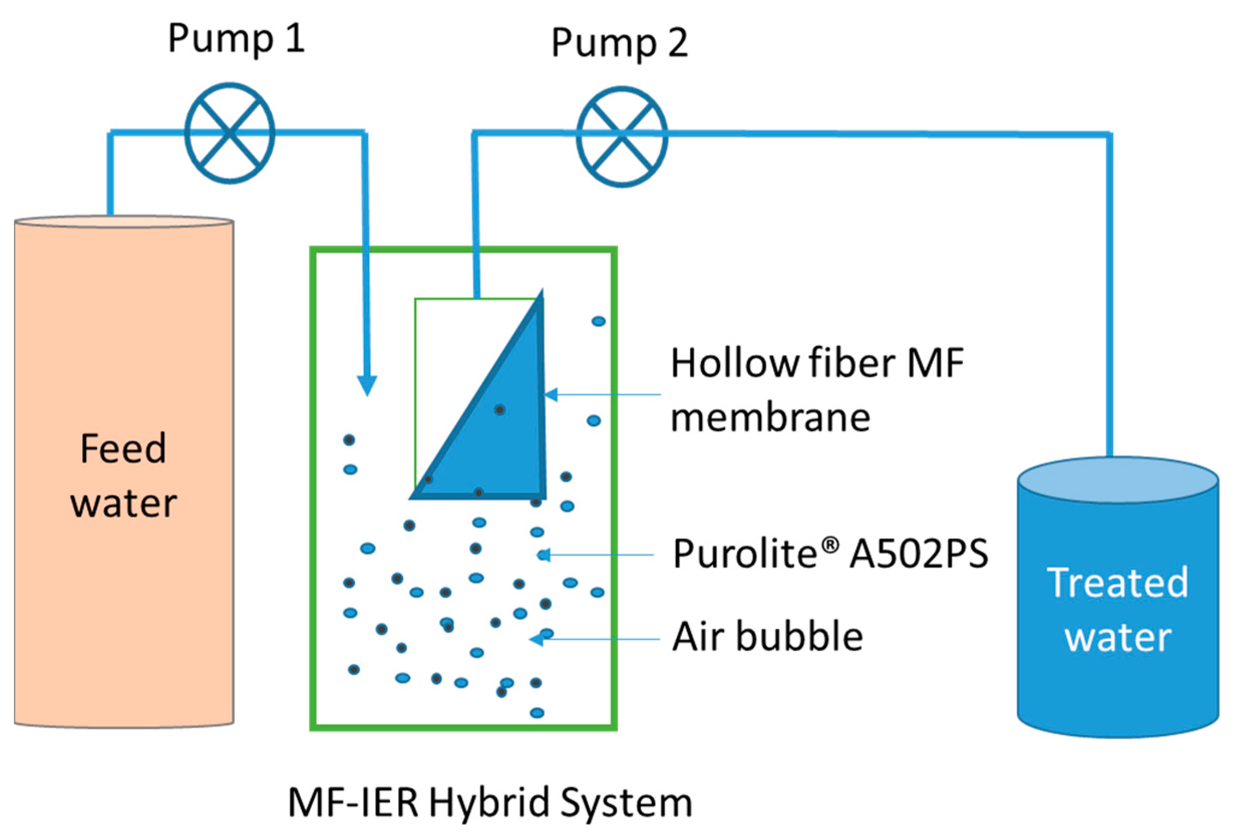 Membranes 13 00136 g001